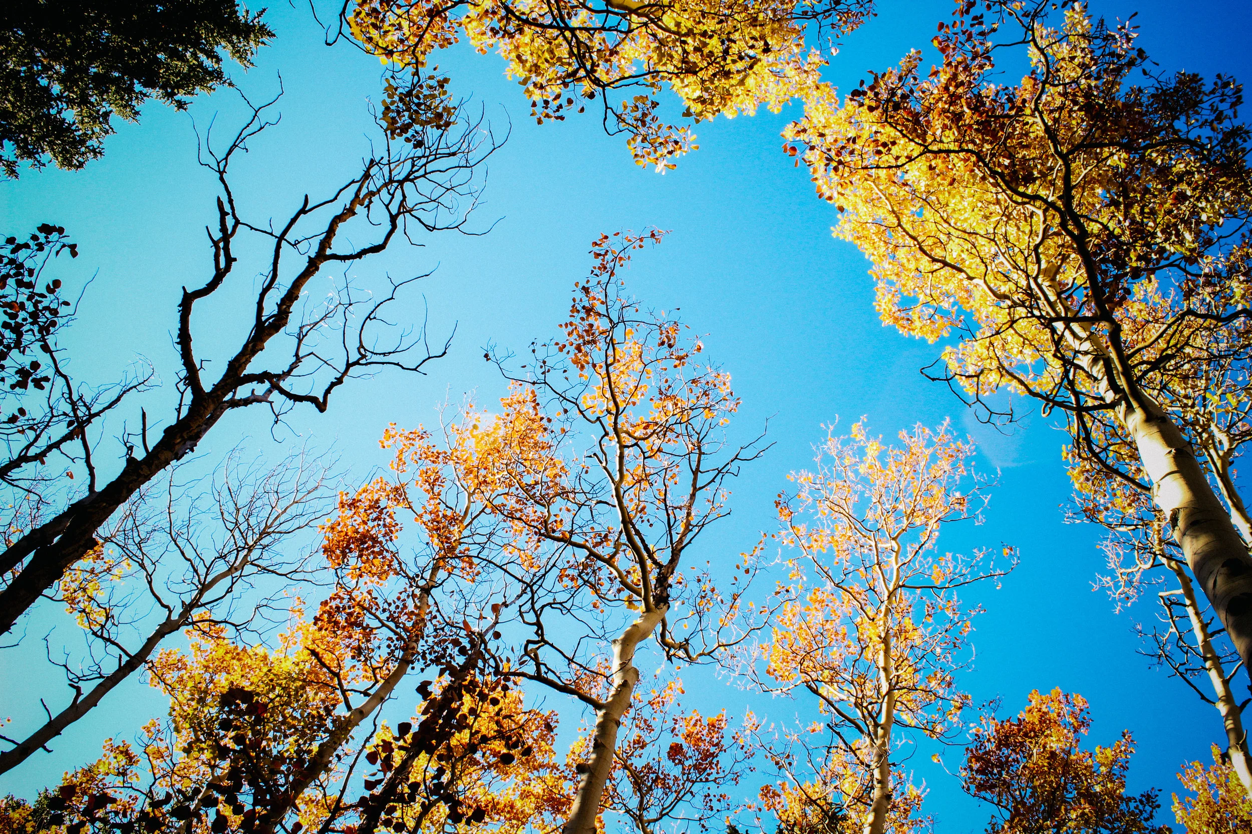 nature_TerynOBrien-23.jpg