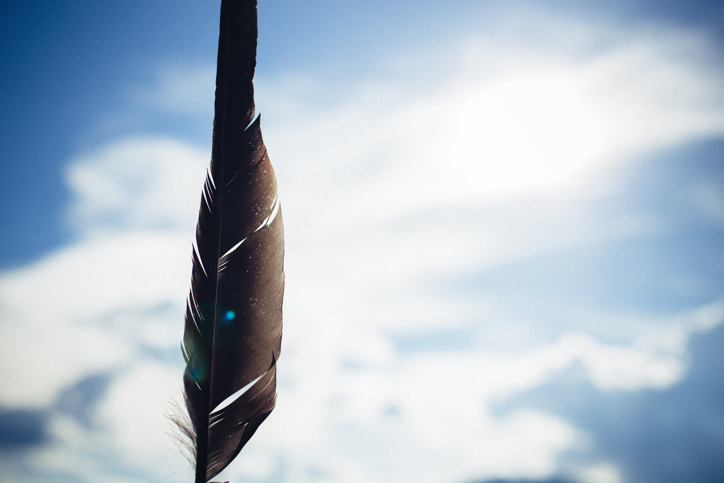 Nature-6.jpg
