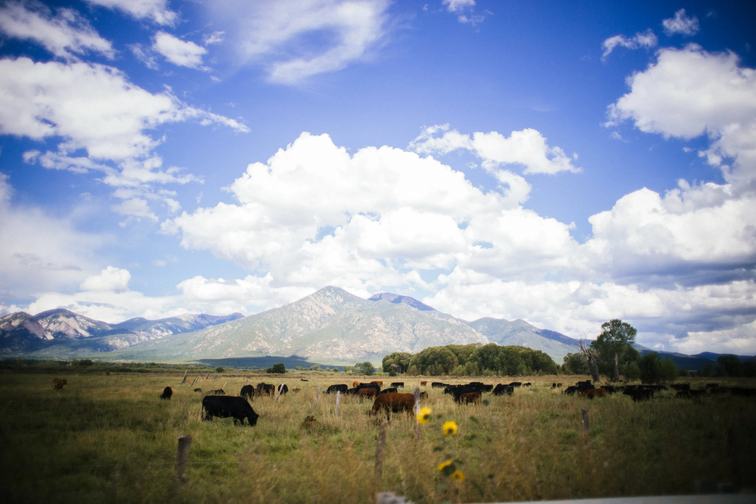 NewMexico-56.jpg