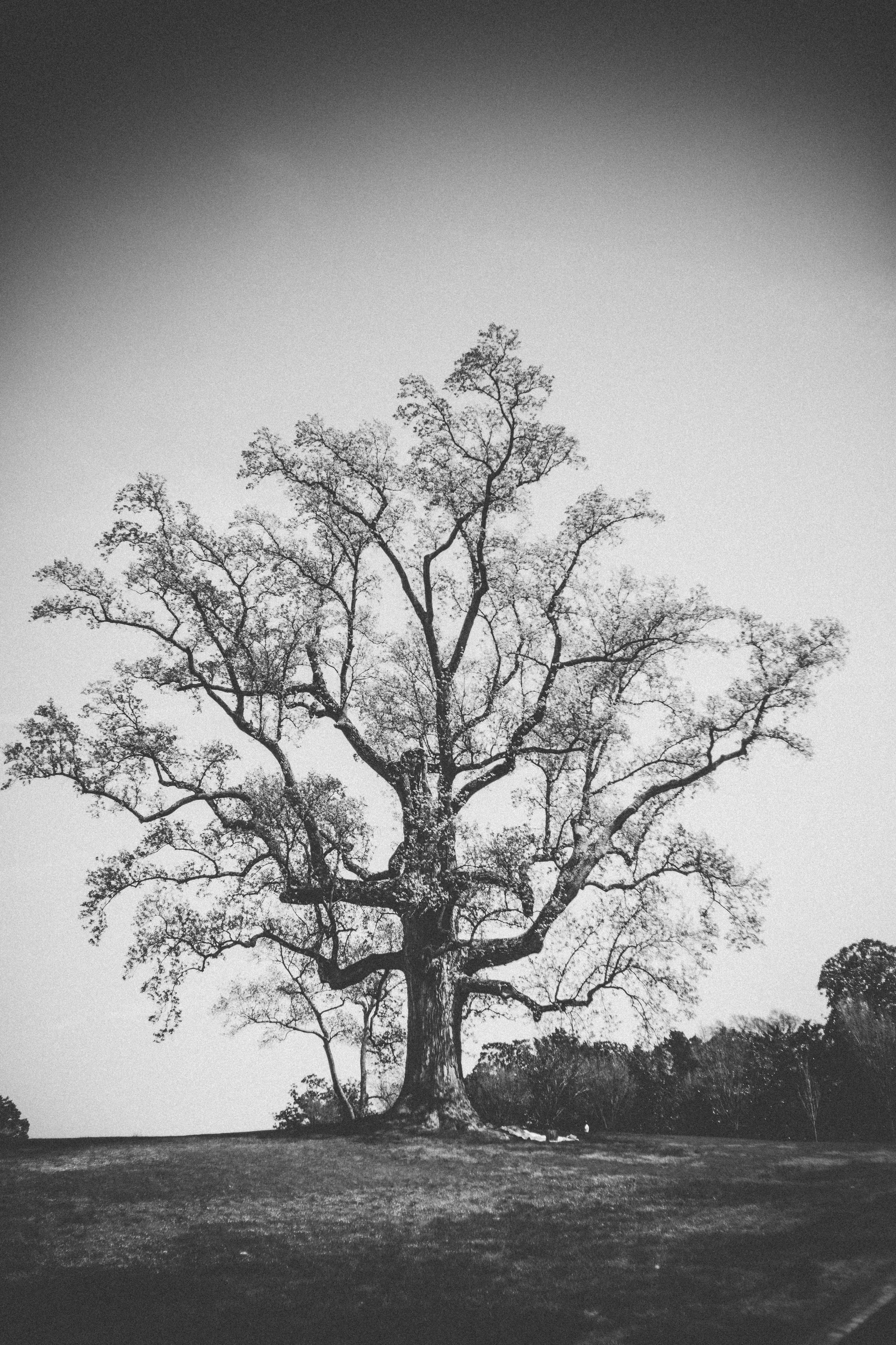 NorthCarolinaTrip-18.jpg