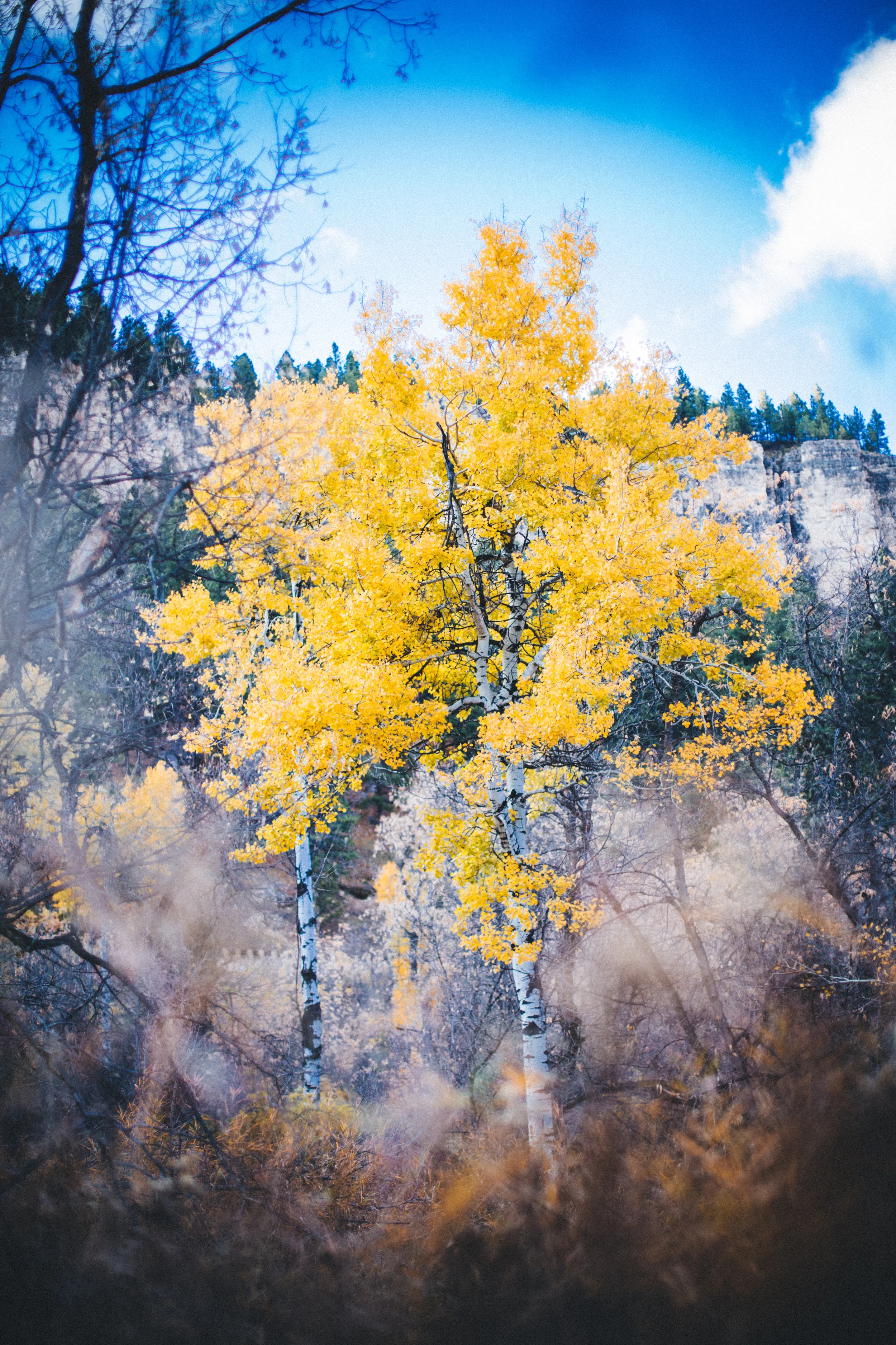 RoadTrip_NDSD-40.jpg