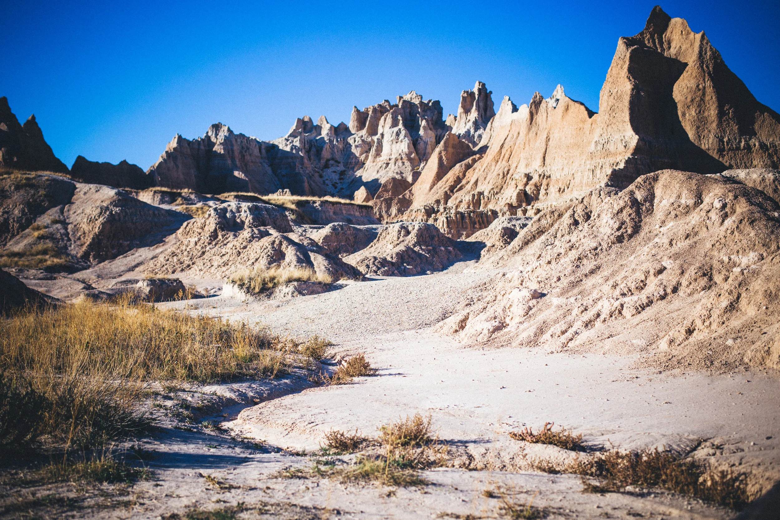RoadTrip_NDSD-69.jpg