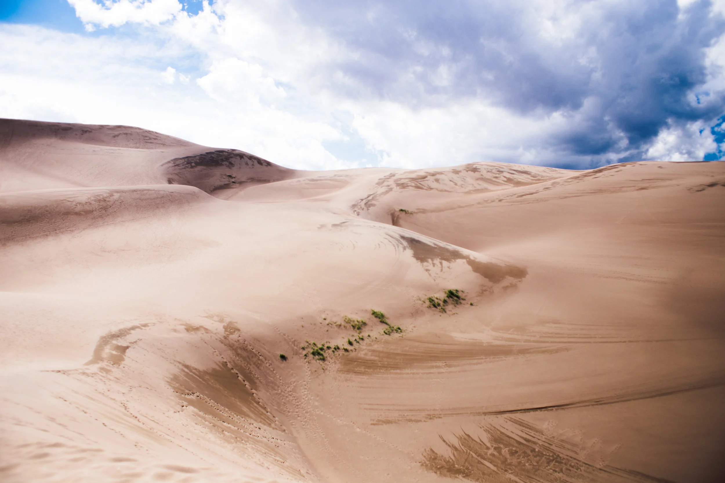 Sanddunes-1.jpg
