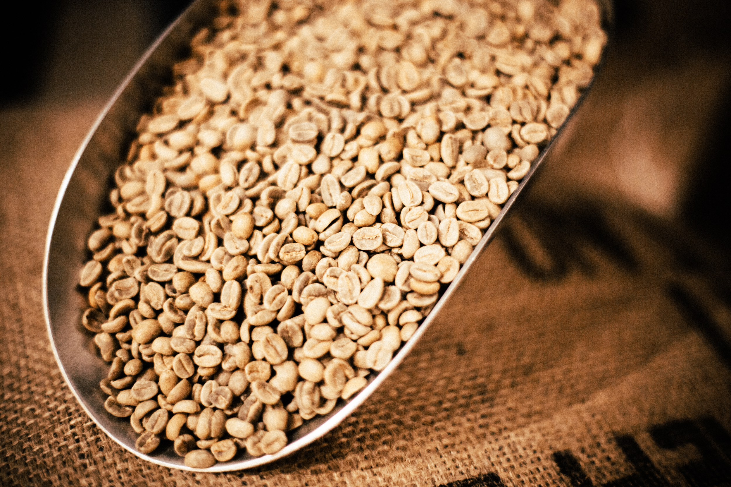 Screen Shot 2018-02-26 at 3.55.29 PM.png