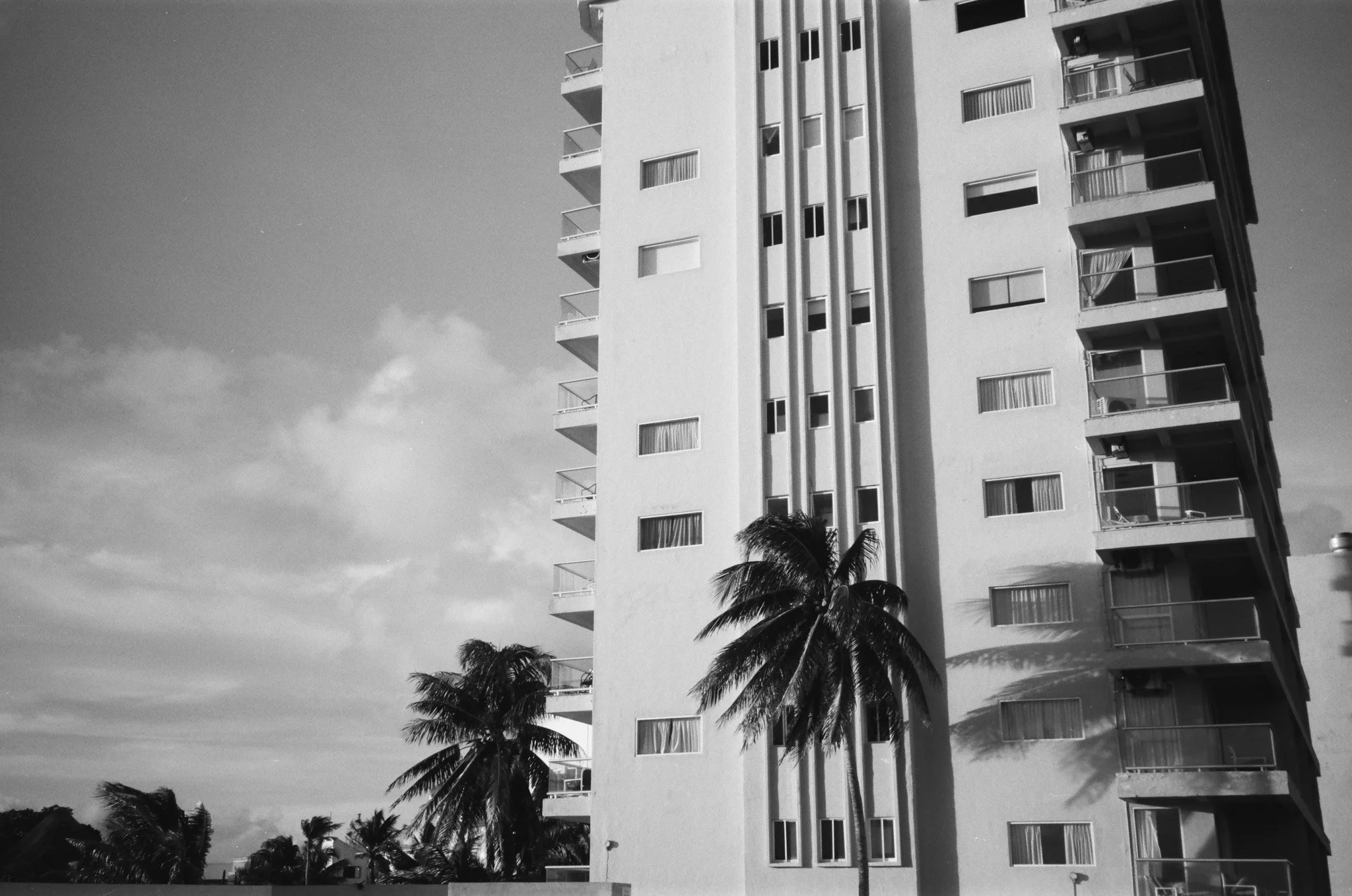 90740002.jpg