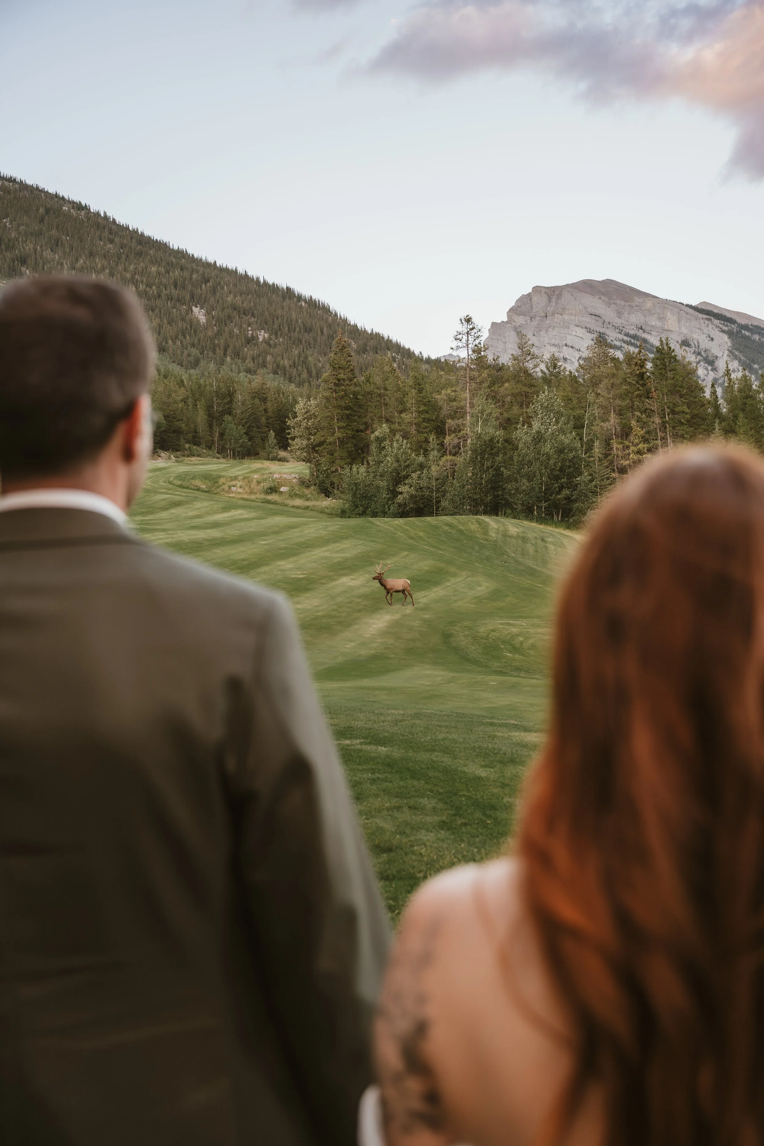 Monty + Dylan Canmore Wedding - Sunset-3.jpg