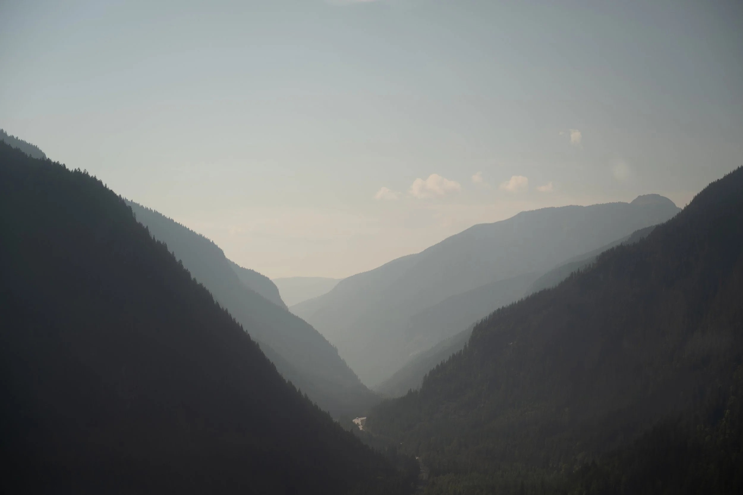EARTH IN BLOOM PHOTOGRAPHY  - Catherine + Lee - Revelstoke Elopement 6-39.jpg