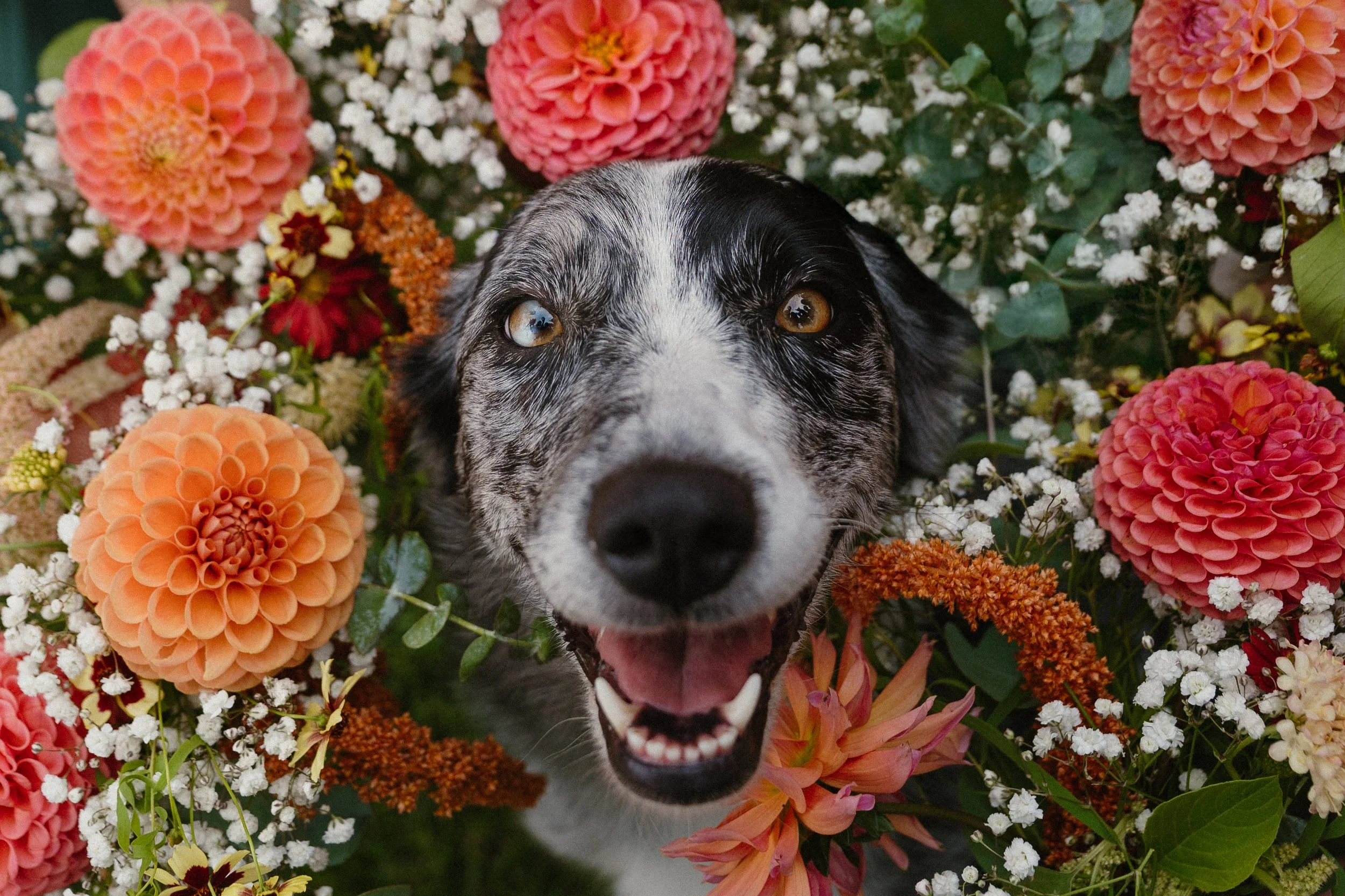 Kate + Nils - Golden, BC Wedding 2025 - Bridal Party-2.jpg