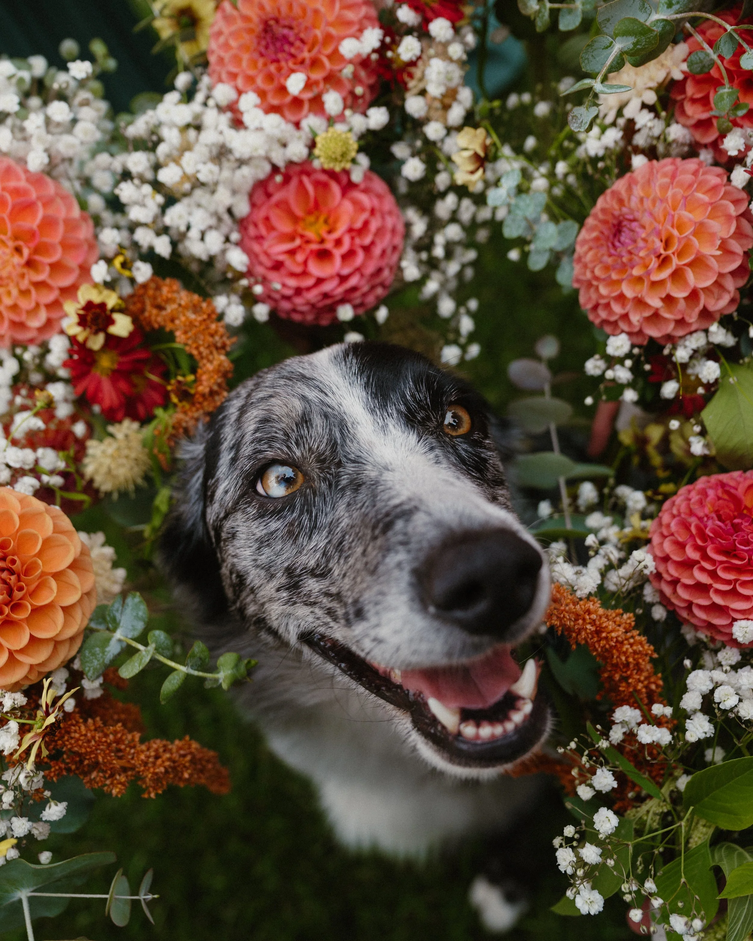 Kate + Nils - Golden, BC Wedding 2025 - Bridal Party-1.jpg