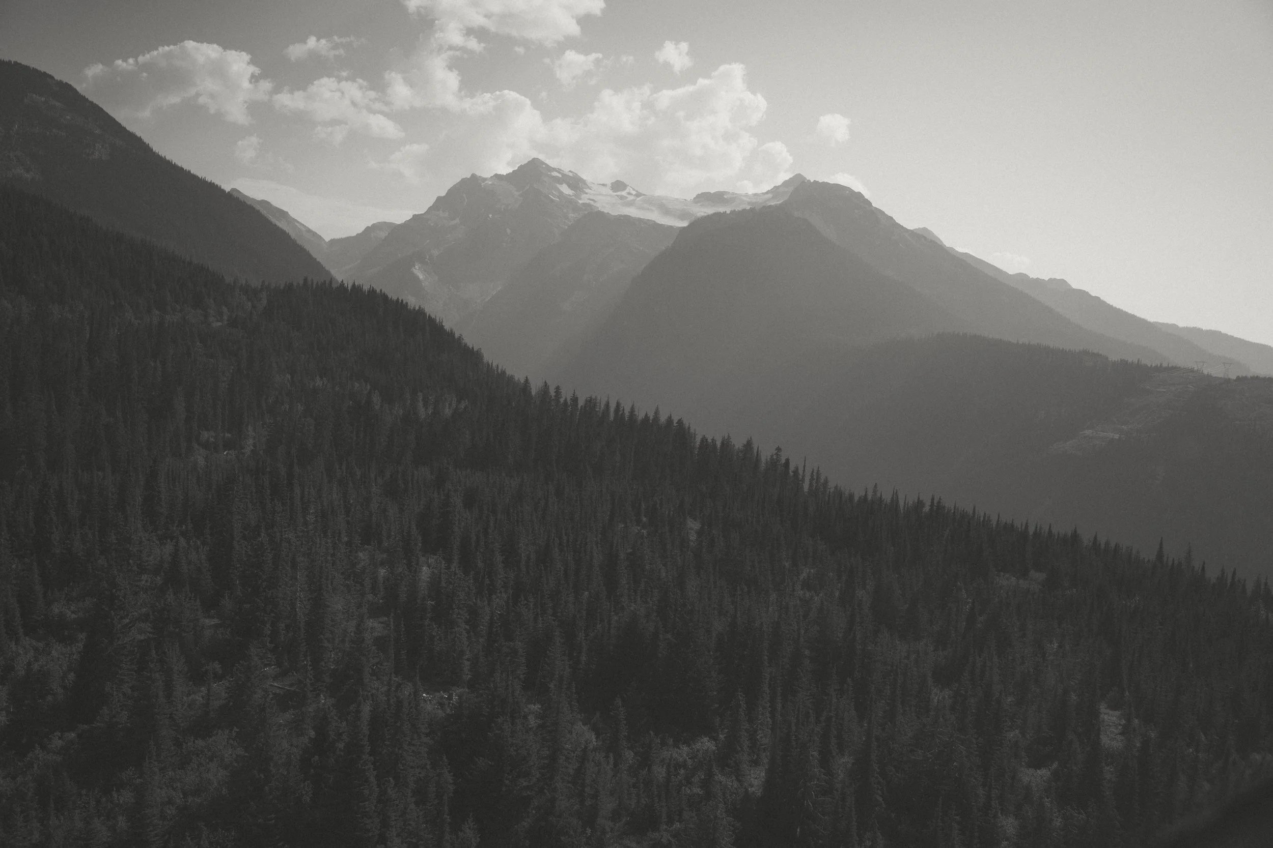 EARTH IN BLOOM PHOTOGRAPHY  - Catherine + Lee - Revelstoke Elopement 6-42.jpg