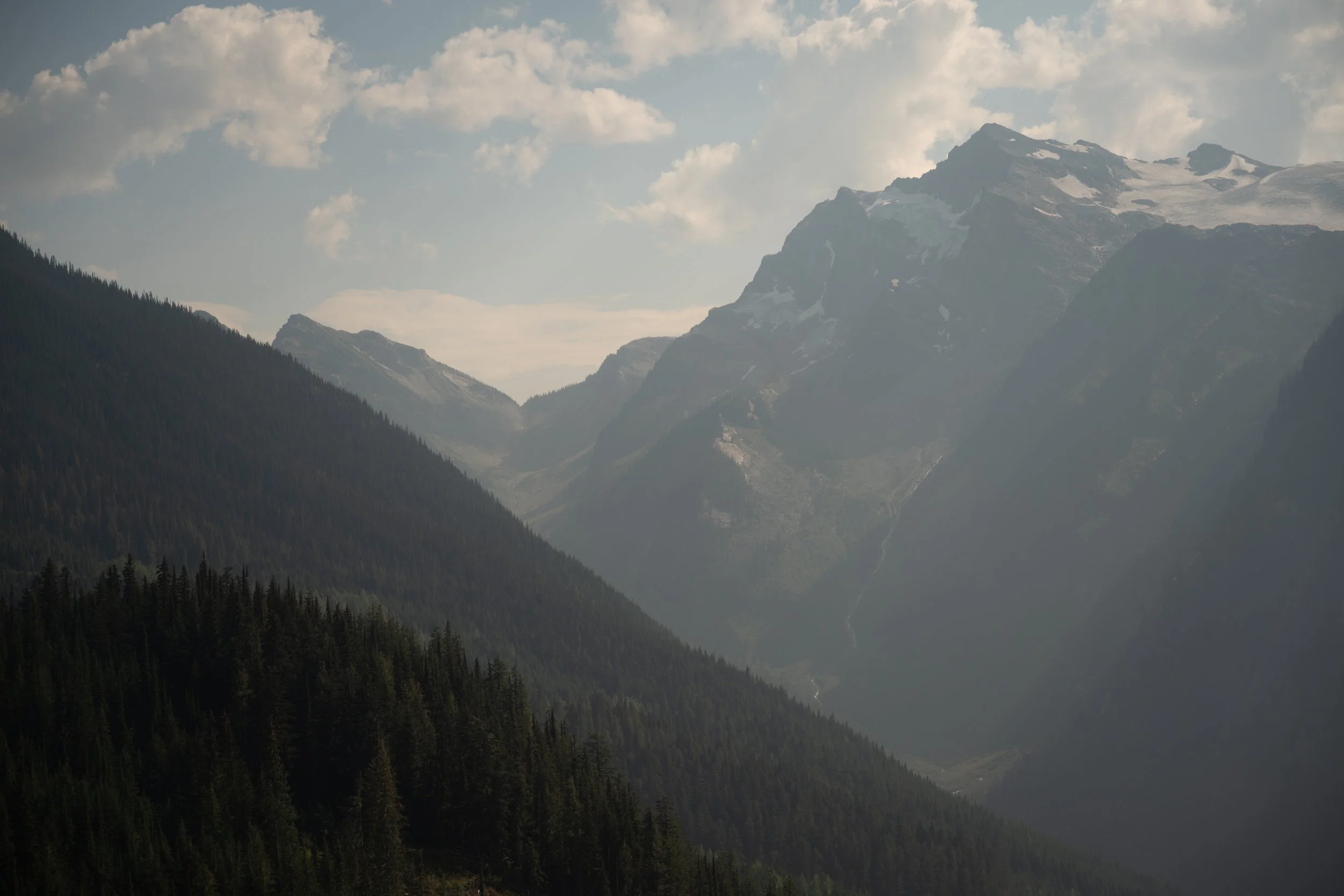 EARTH IN BLOOM PHOTOGRAPHY  - Catherine + Lee - Revelstoke Elopement 6-43.jpg