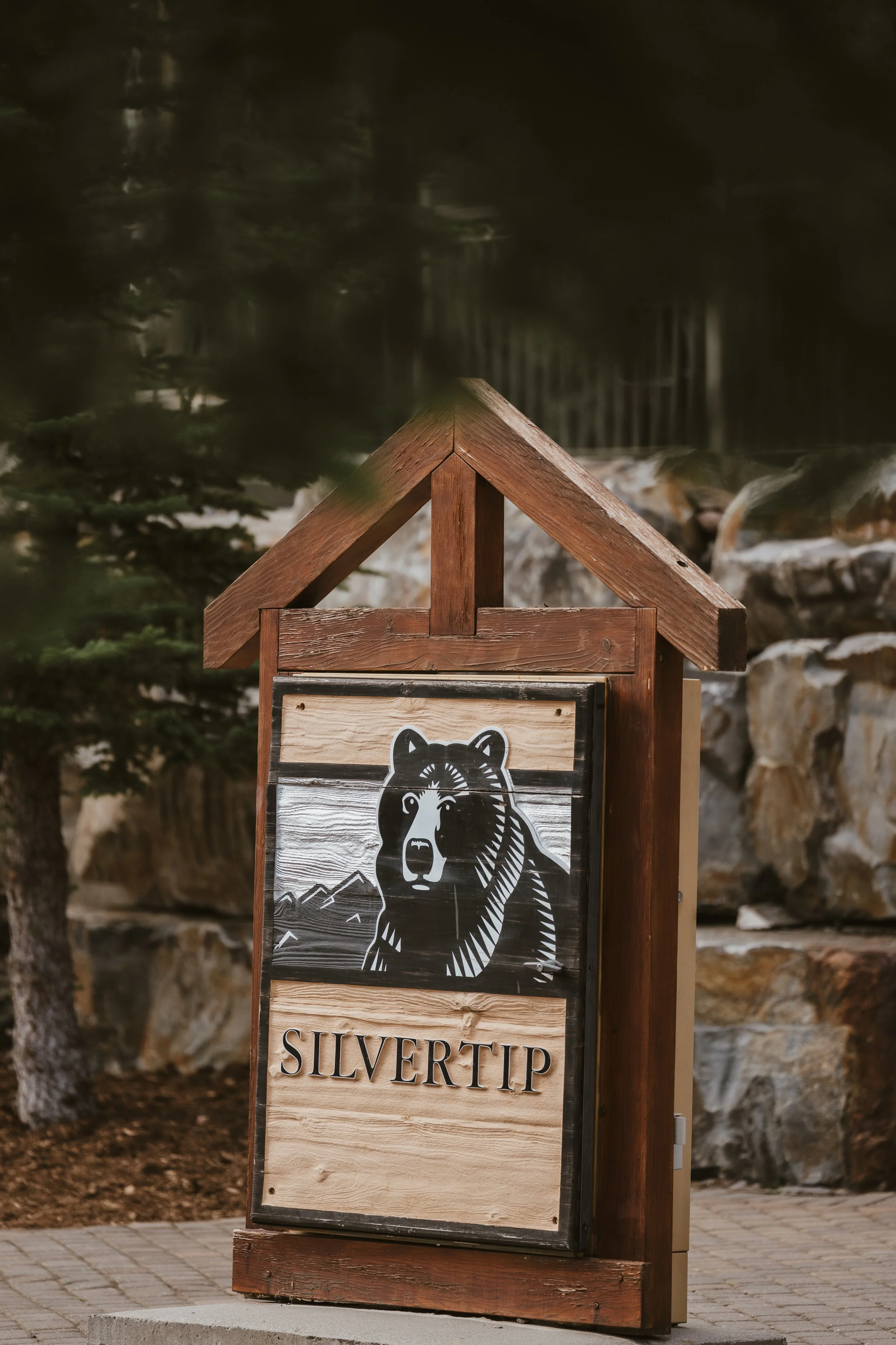Monty + Dylan Canmore Wedding - Reception-3.jpg