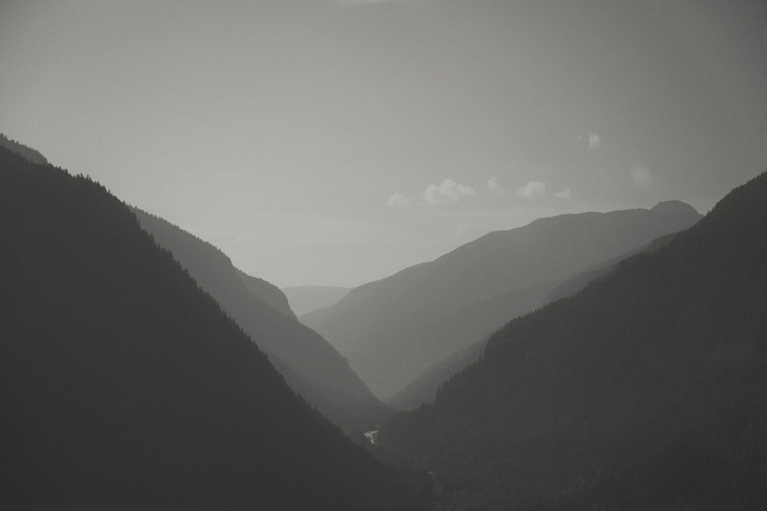 EARTH IN BLOOM PHOTOGRAPHY  - Catherine + Lee - Revelstoke Elopement 6-40.jpg