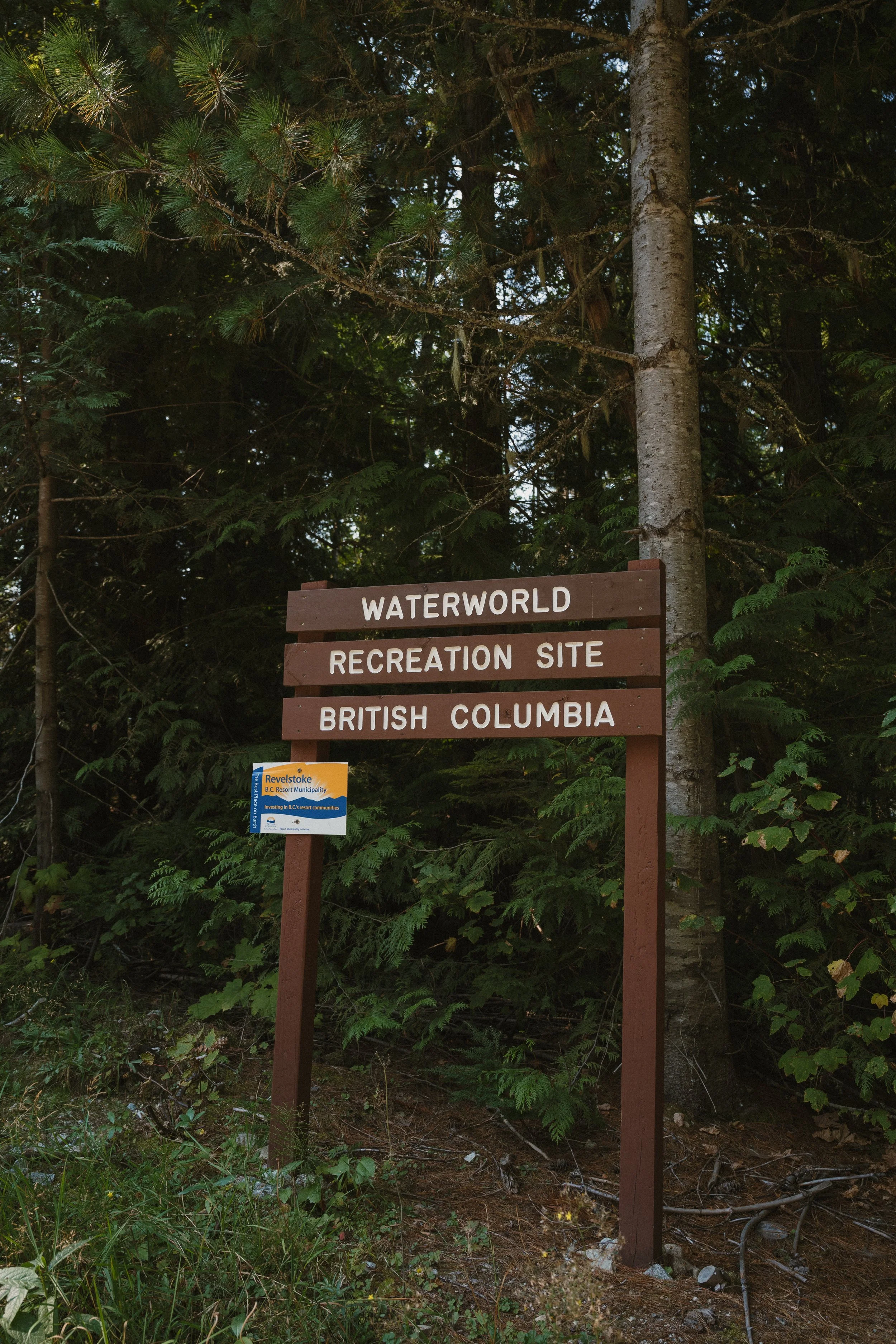 EARTH IN BLOOM PHOTOGRAPHY  - Catherine + Lee - Revelstoke Elopement 6-1.jpg