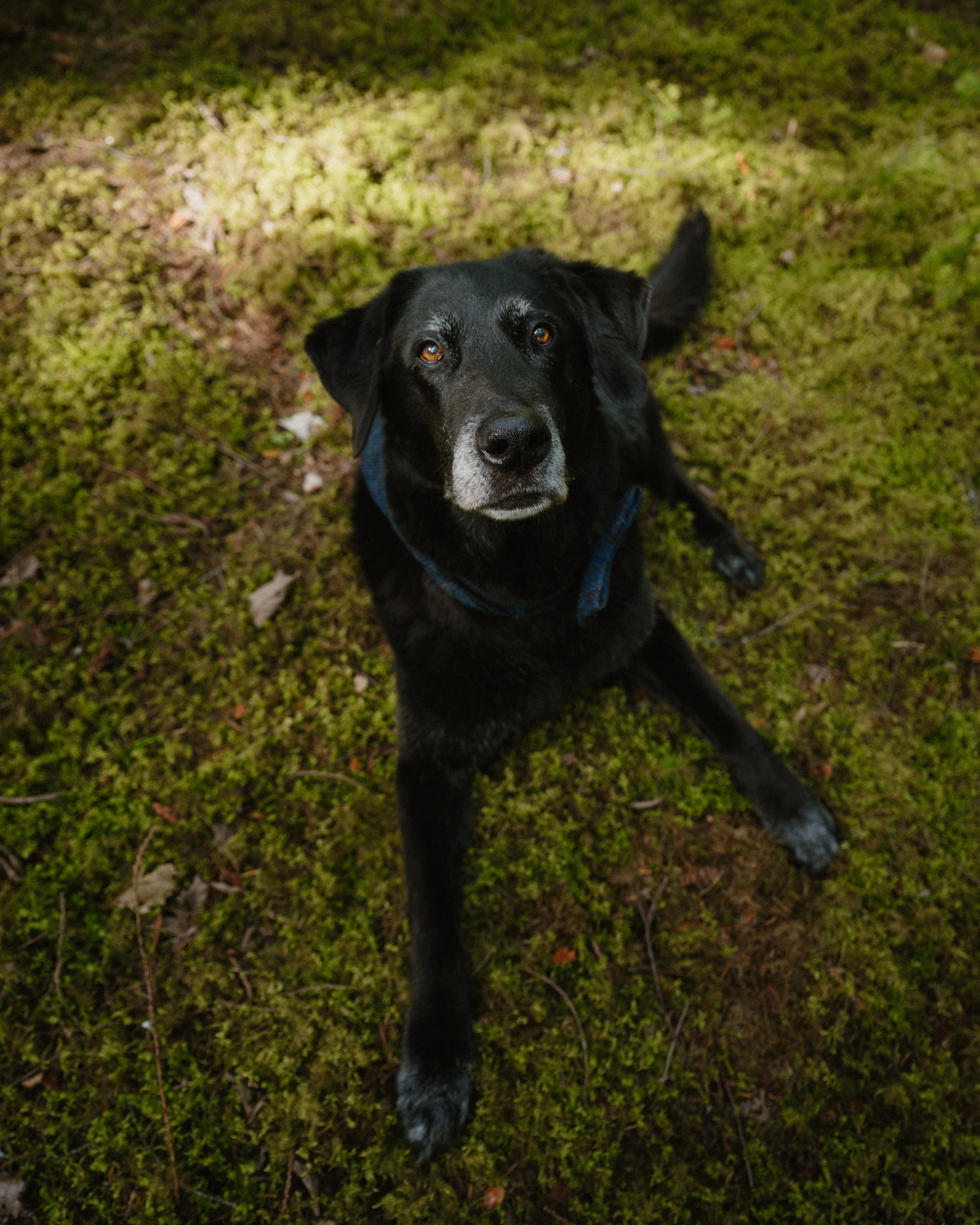 EARTH IN BLOOM PHOTOGRAPHY -Caitlin + Simon - 3-29.jpg