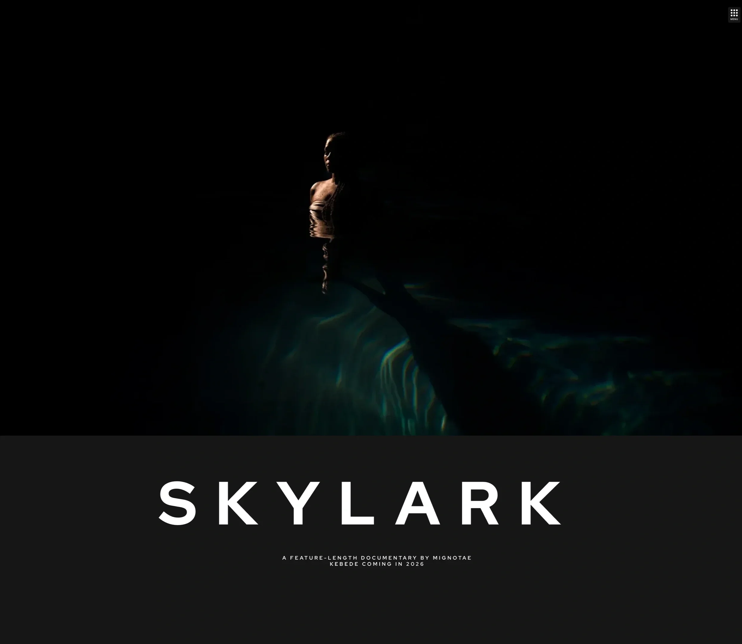 Screenshot of skylarkthefilm's homepage