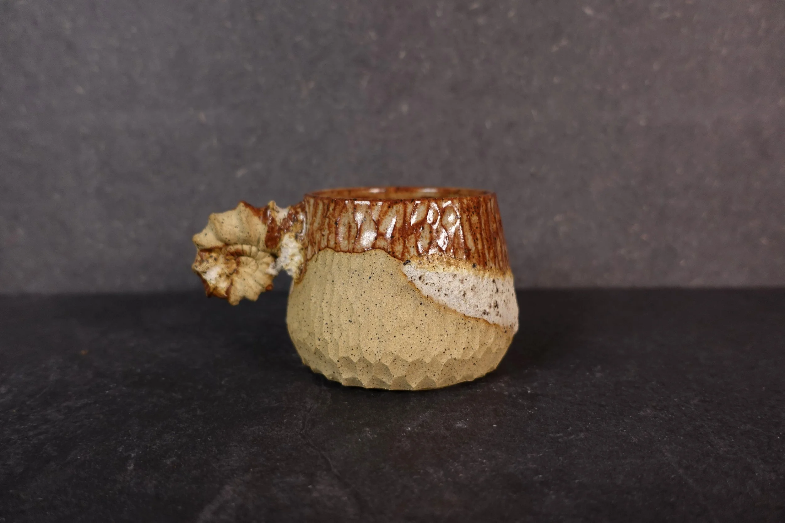 Ammonite Fossil cup IV