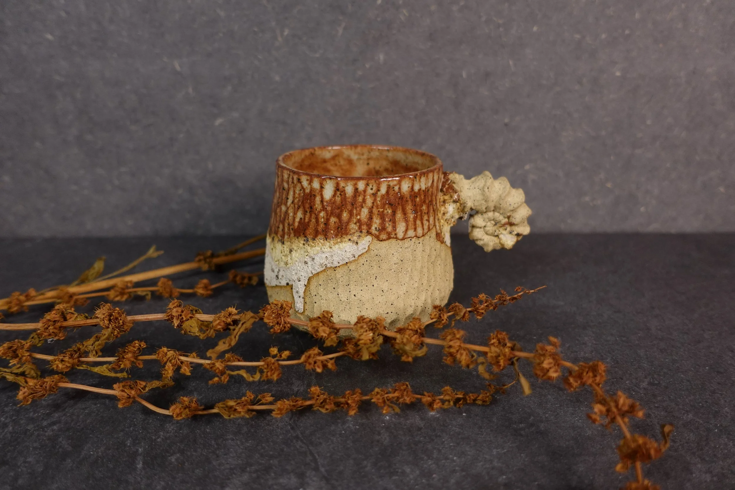 Ammonite Fossil cup I