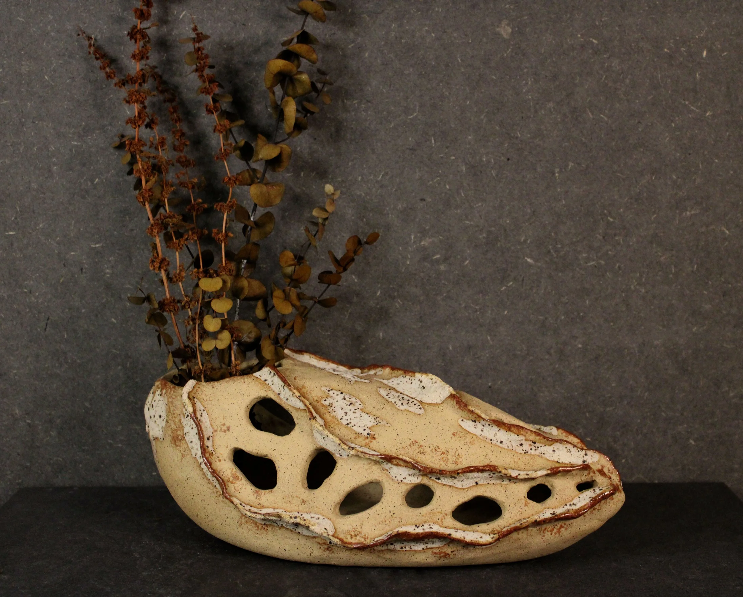 Seed I
