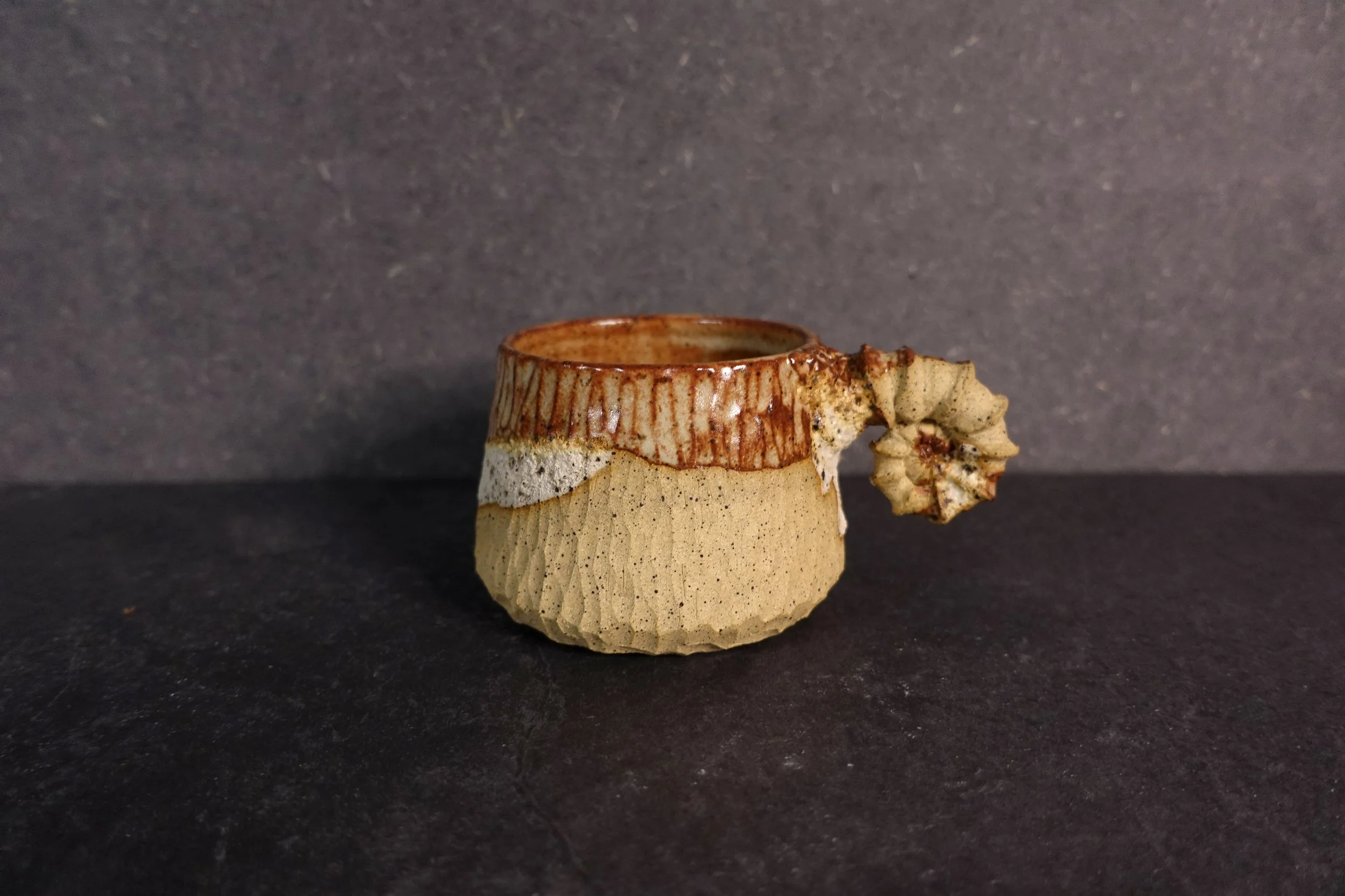 Ammonite Fossil cup II