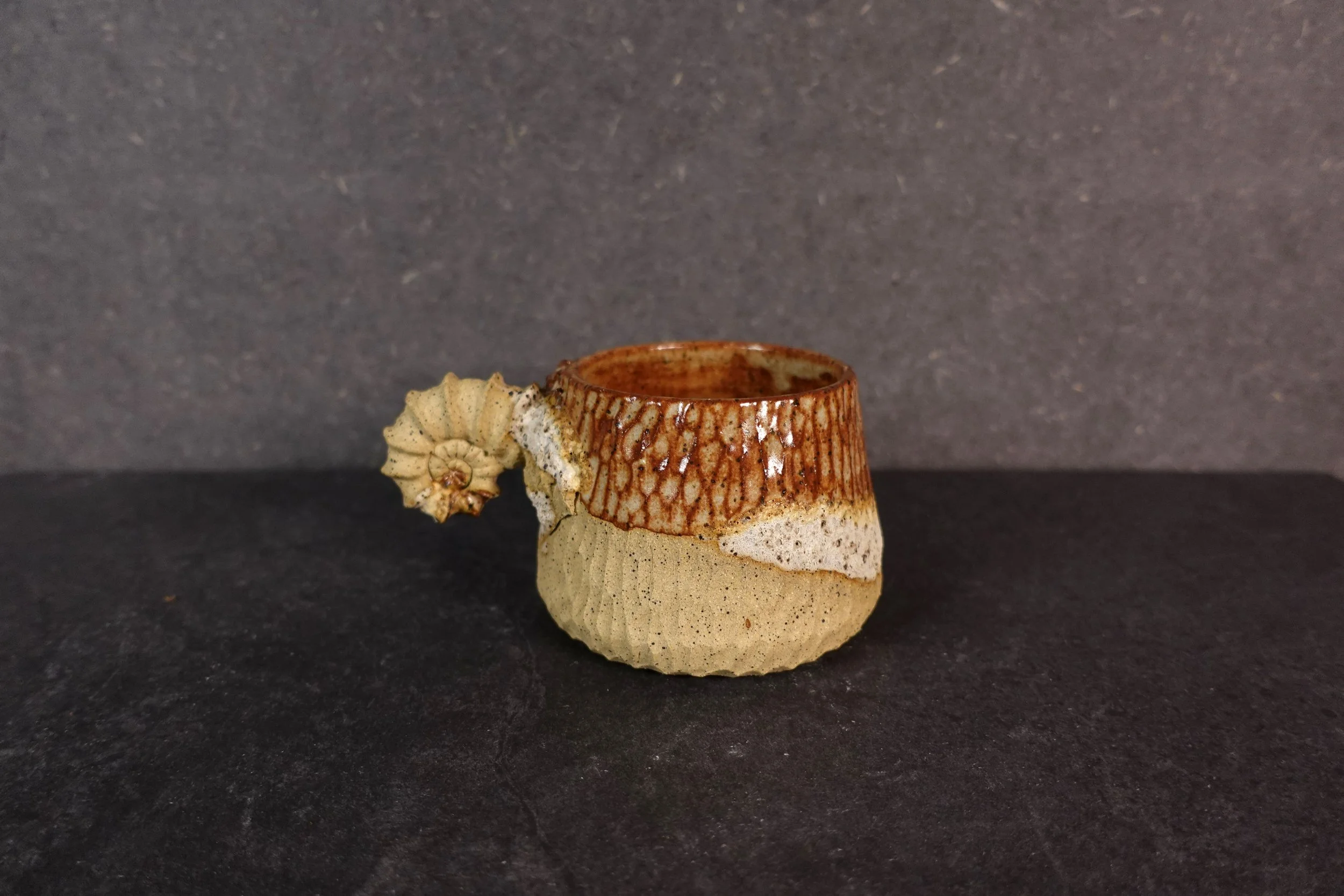 Ammonite Fossil cup III
