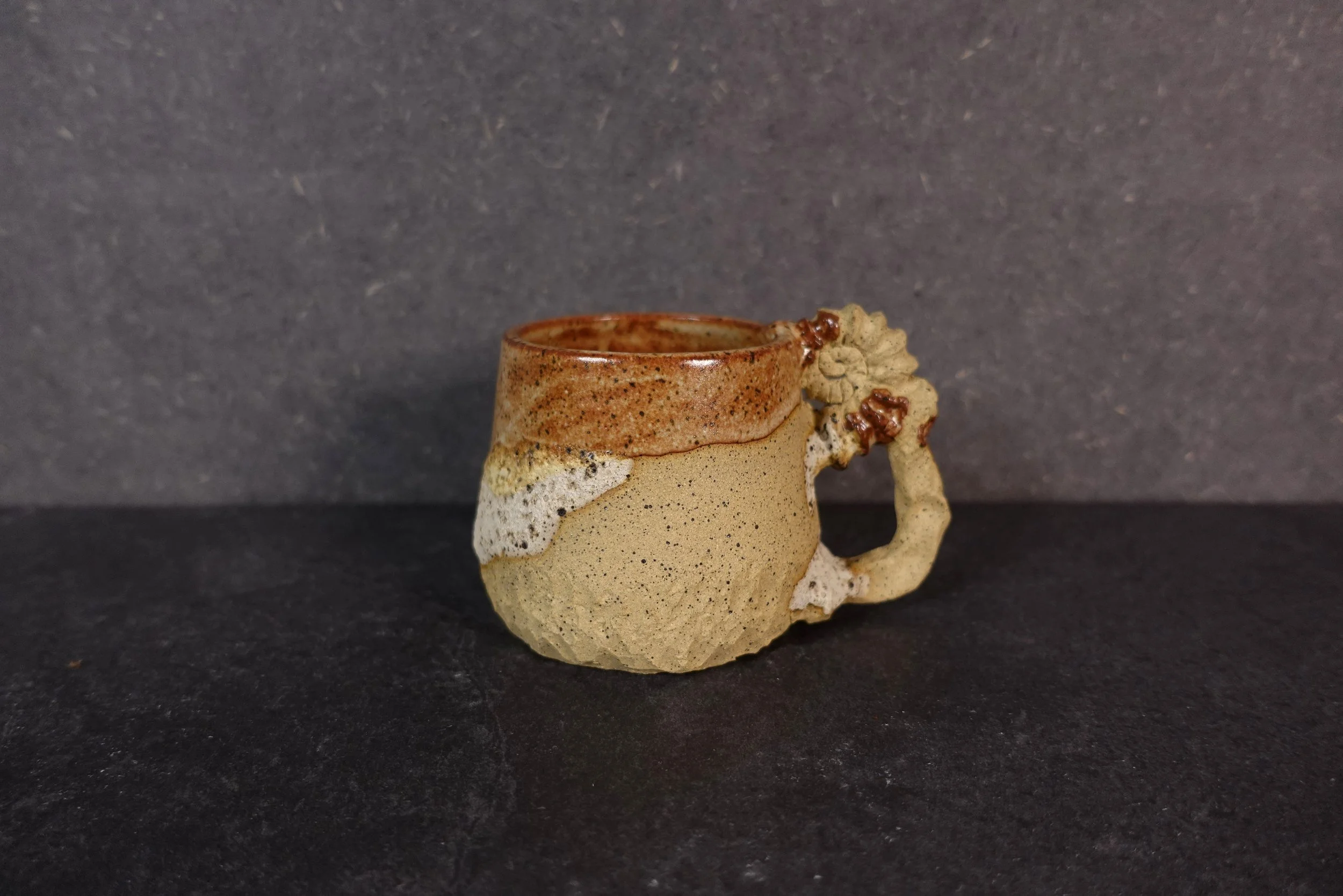 Ammonite Fossil cup V