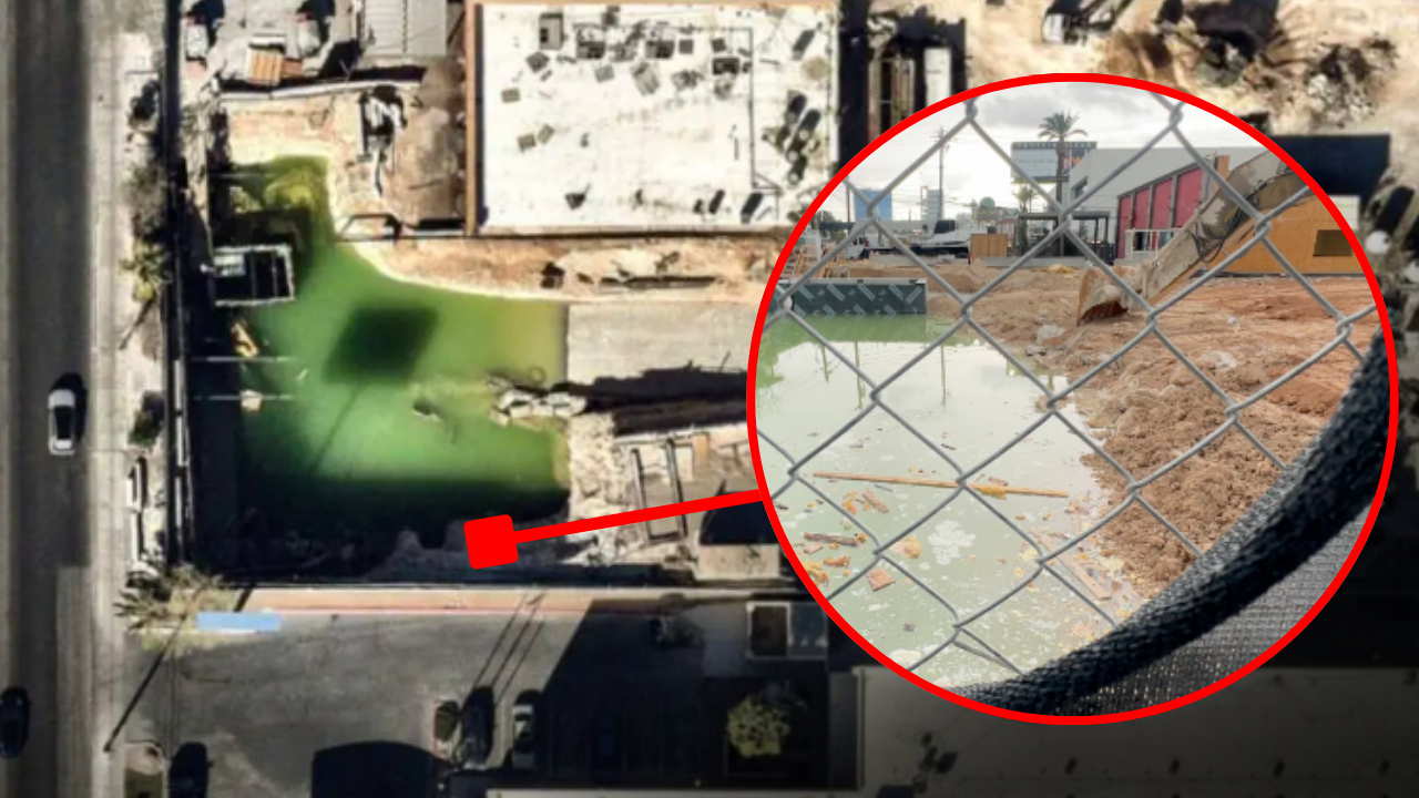 Assemblymember Watts Calls for Answers on Boring Company’s Green Pond