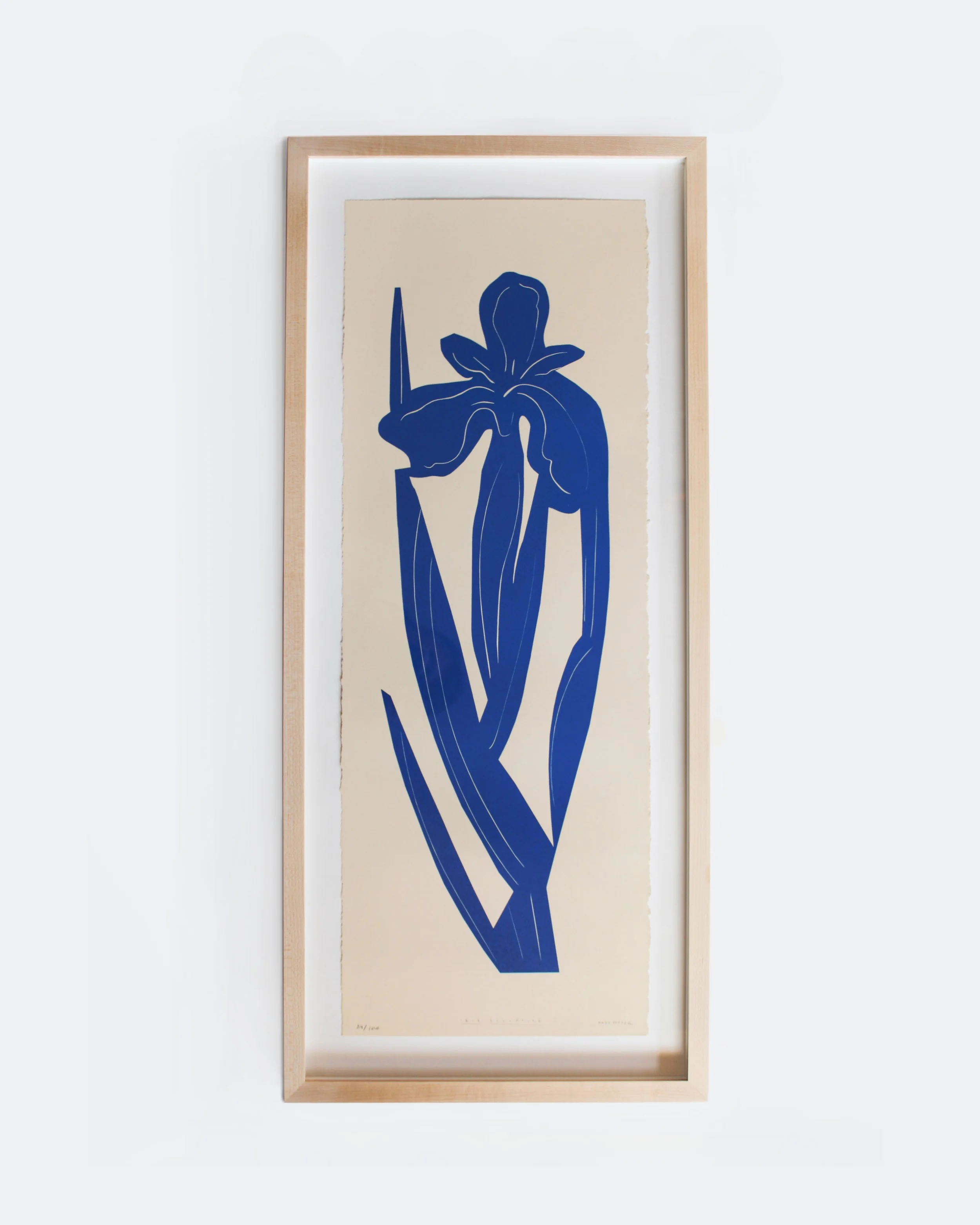 iris-framed-1.jpg