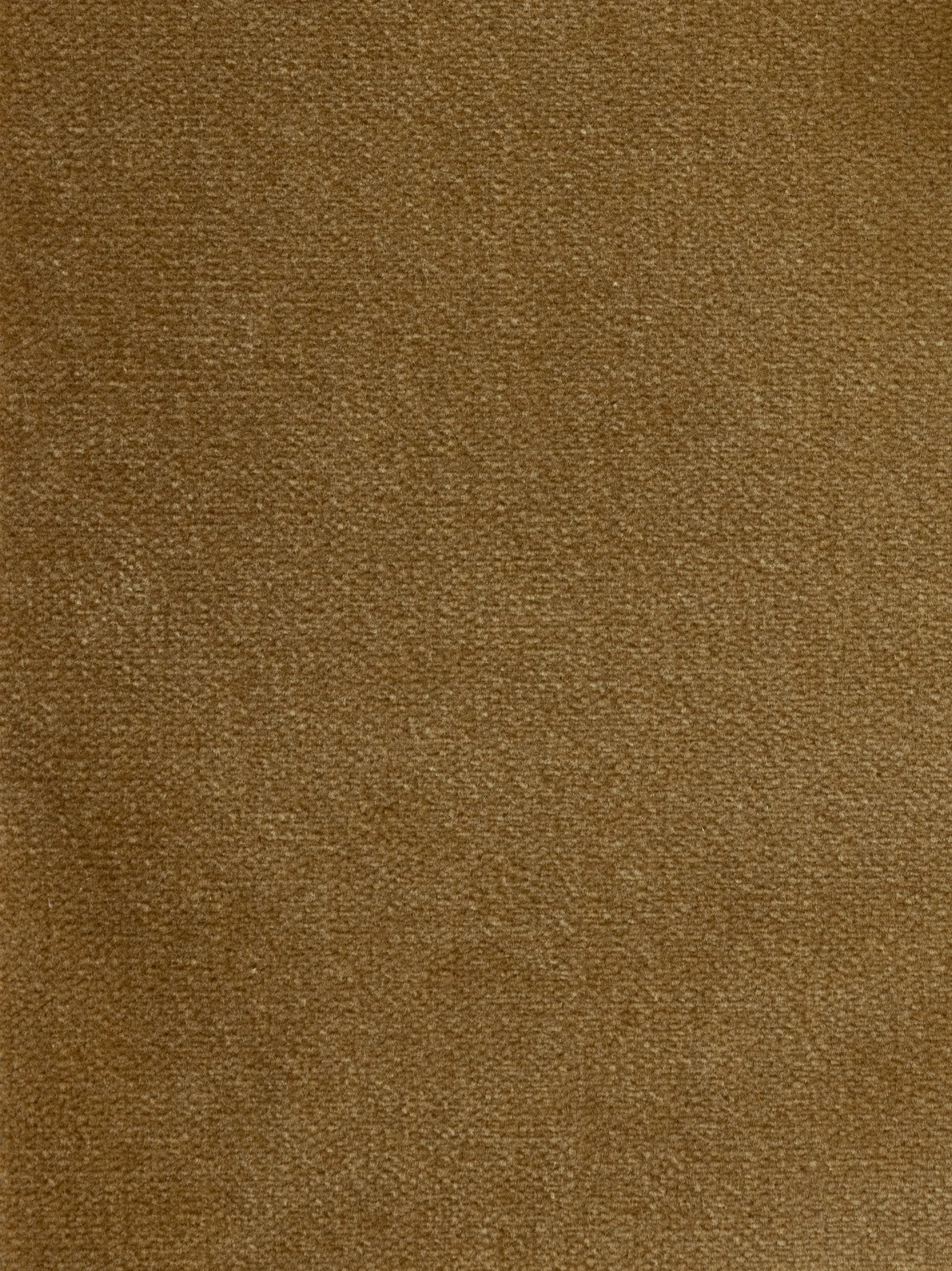 Cotton_Velvet_Camel-Sunday_Shop.jpg