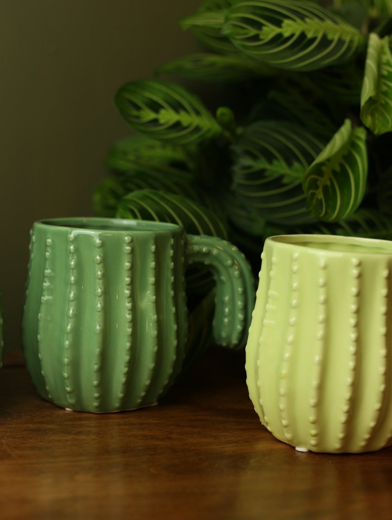 F34163AB-7667-4D13-8EFF-067ABDAA5A7D.jpeg