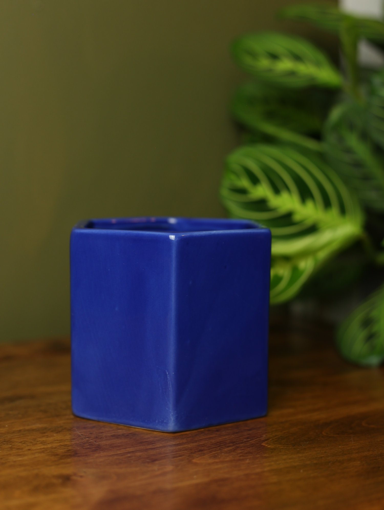 856B0230-973C-46C3-9799-B3C65D6DEA72.jpeg
