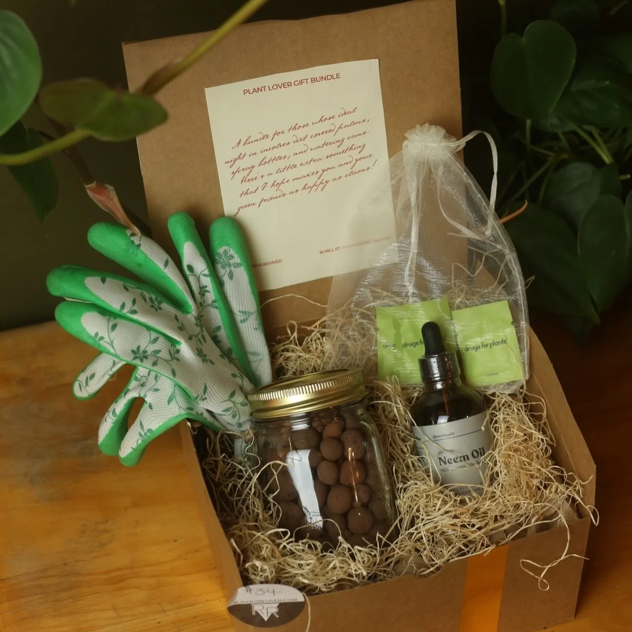 STARTING TODAY get double the rewards on your Ruinous Revived rewards cards when you shop from now until Christmas!
Just as an extra little thank you for shopping small this holiday season 🤍 
What small business are you gift shopping with this holid