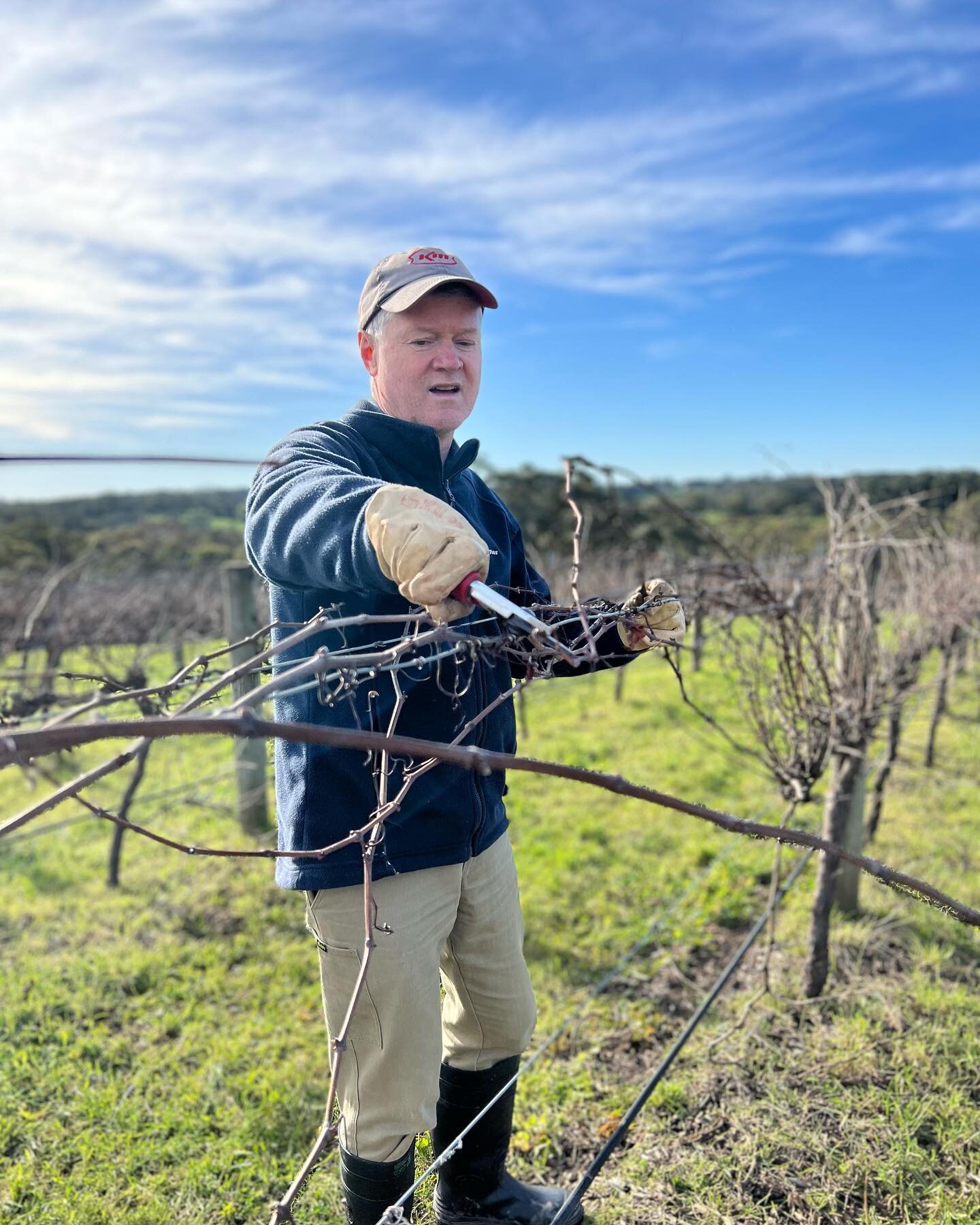Our pruning is complete 🍷 We&rsquo;re quite meticulous about this as it sets each vine up for the rest of the season. After an initial haircut by the barrel pruner, which literally barrels through the vineyard leaving the plants a little frazzled, w