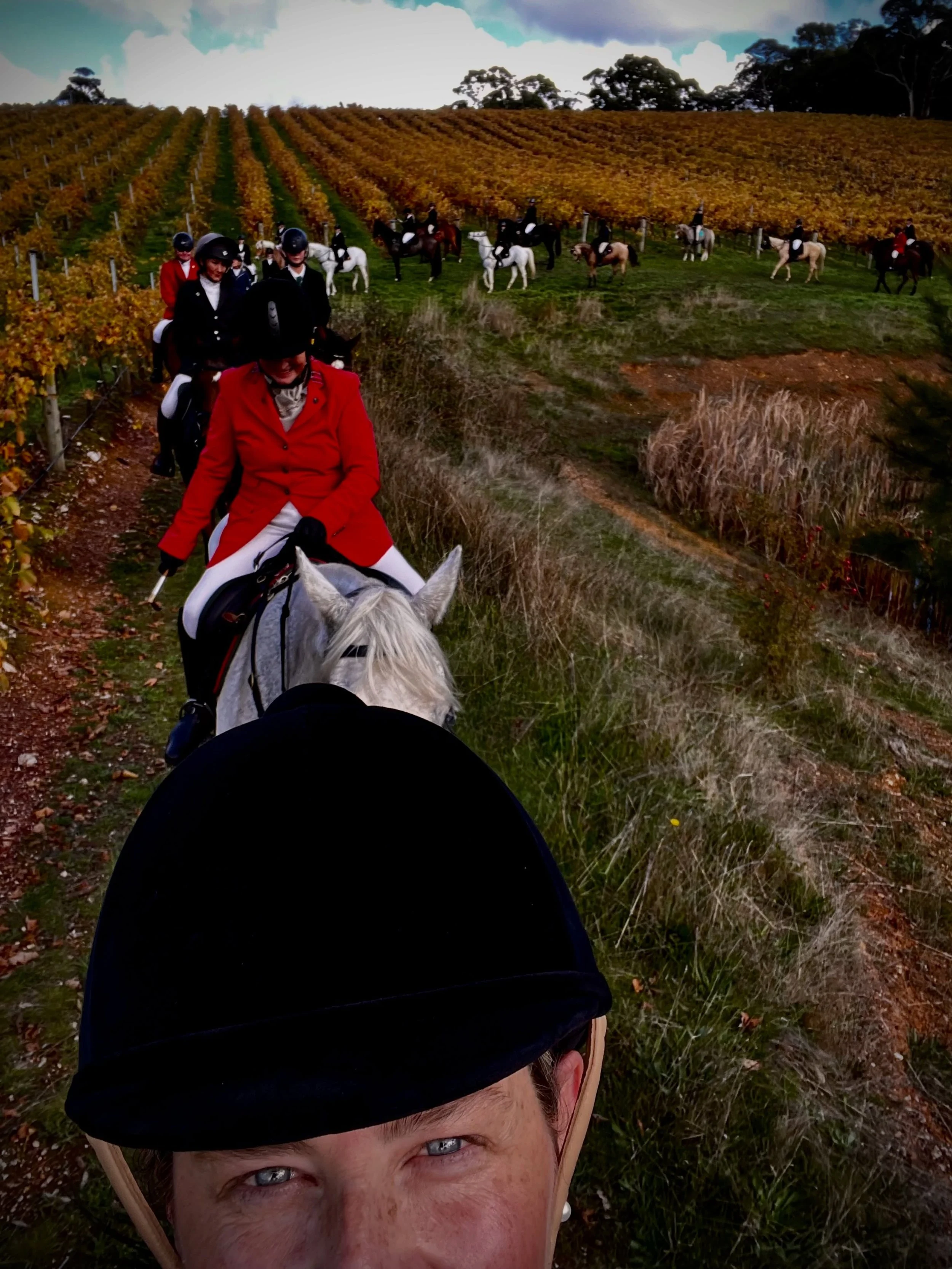 It&rsquo;s always a pleasure to have the @fleurieuhuntclub thundering by on their beautiful steeds across our resting vineyard. 🍷 bottoms up and may your hunt for fun continue for the season! 

(And thanks @educationalhorserider for allowing our kid