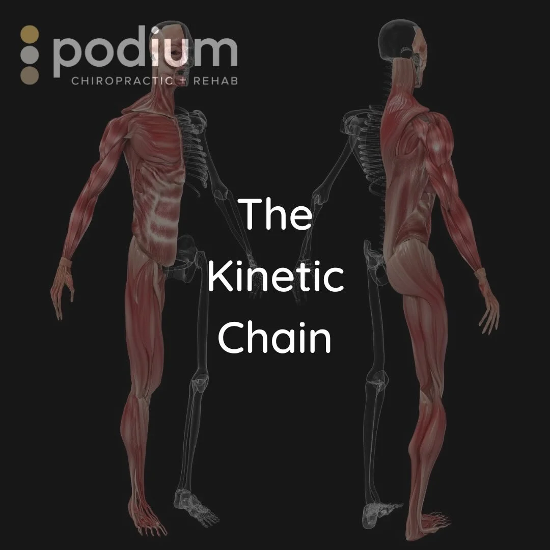 Why do we treat areas that aren&rsquo;t necessarily causing you pain?

This is due to the kinetic chain!

The body has hundreds of interconnected muscles, joints, fascia, nerves, etc. that allow for force transfer and help human movement and function