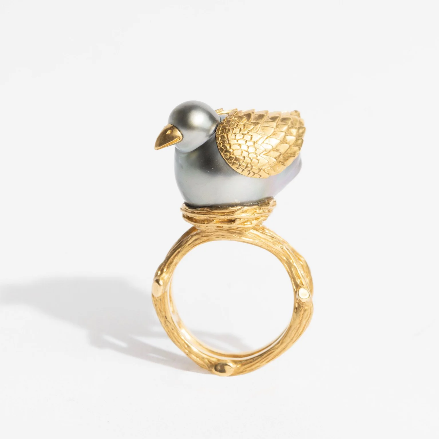 BirdsOfAFeatherRing1.png
