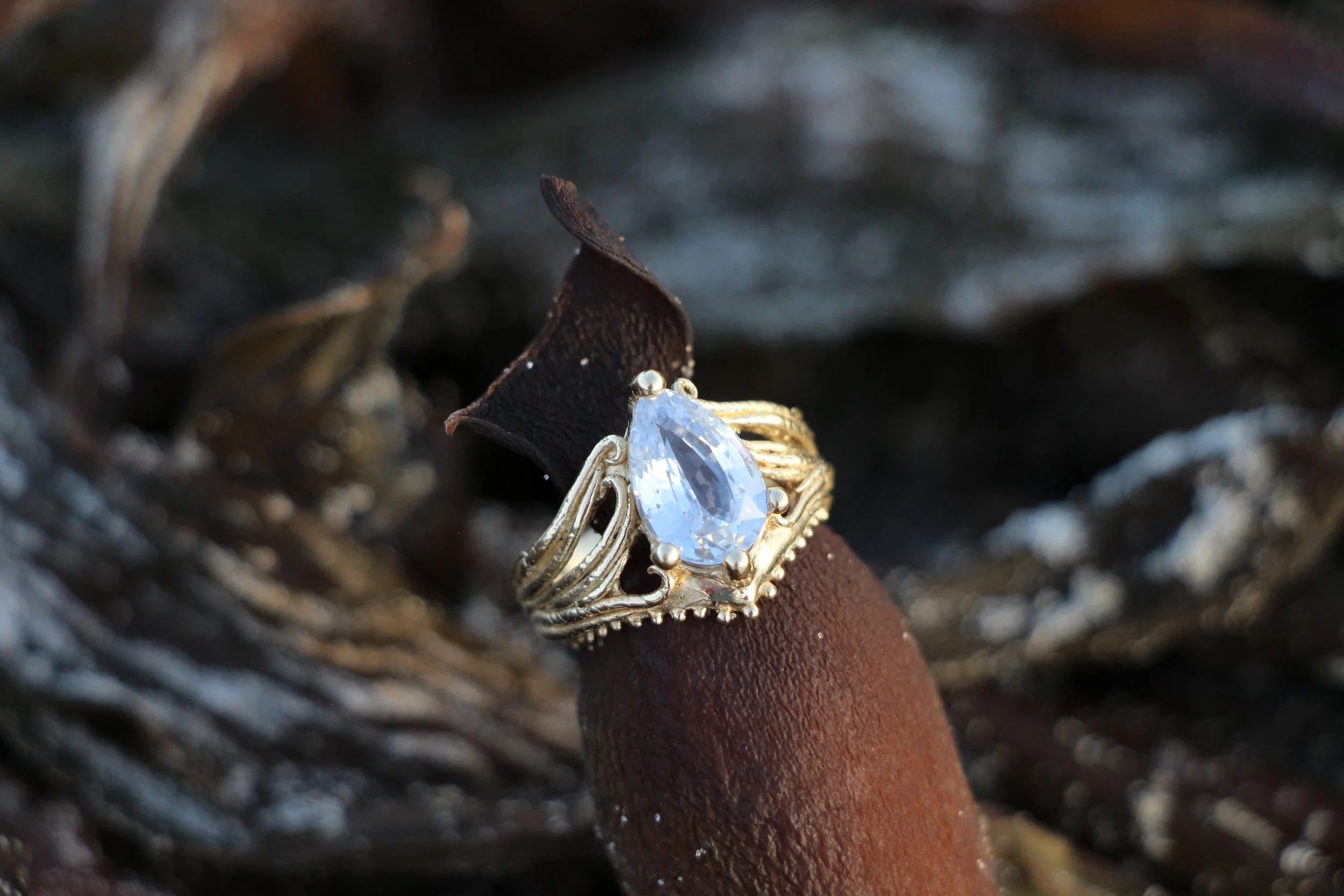 4ct Sapphire Ring on Kelp .JPG
