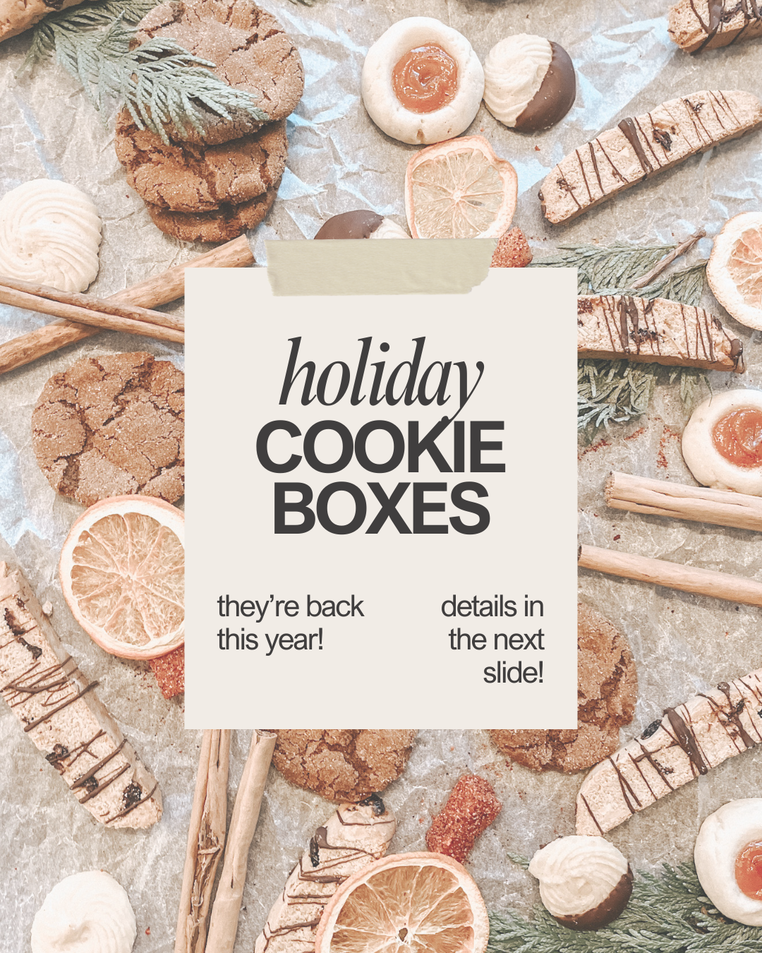 Holiday Cookie Boxes