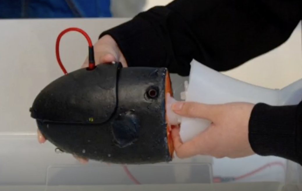 Robot fish for ocean monitoring.