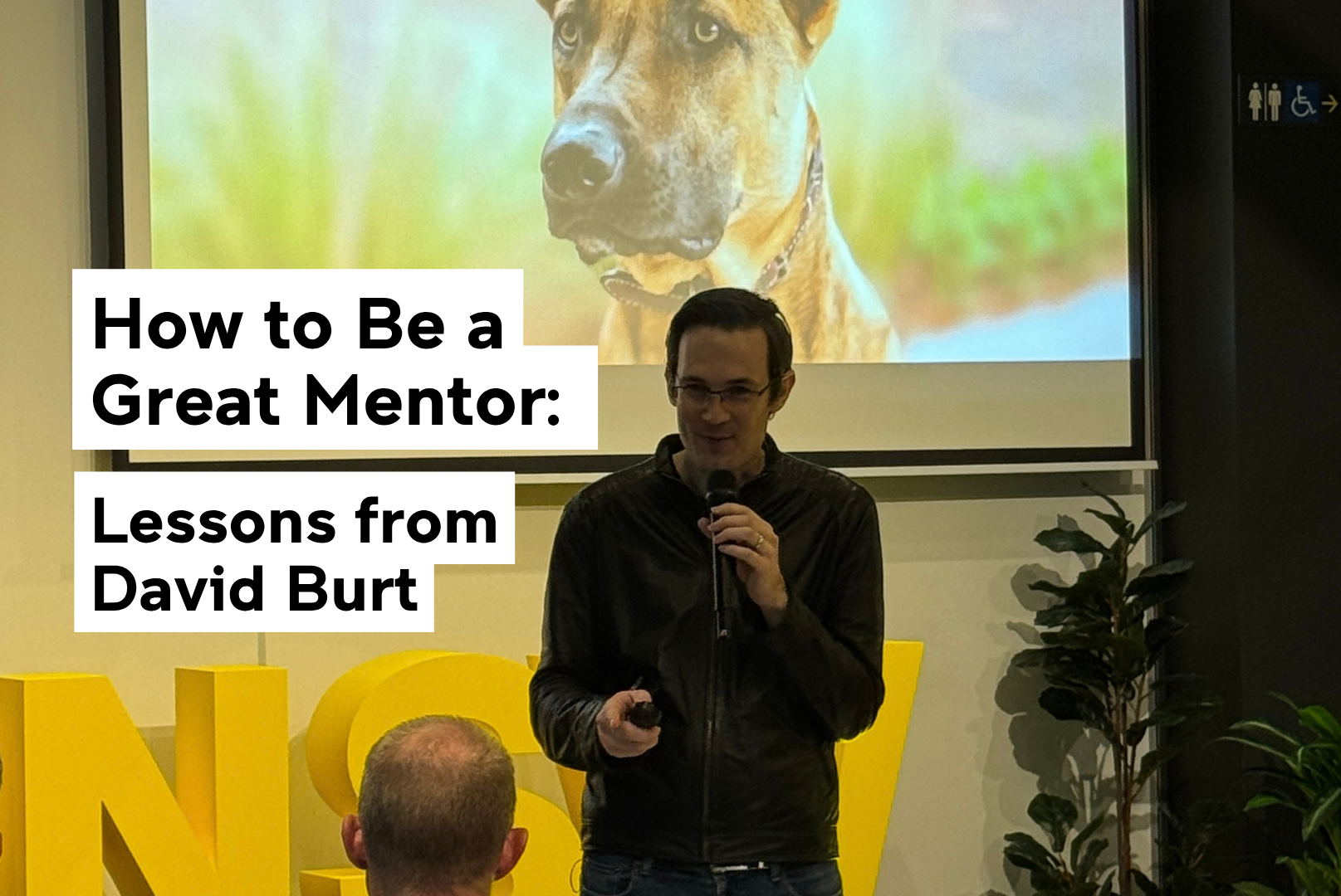 How to Be a Great Mentor: Lessons from David Burt