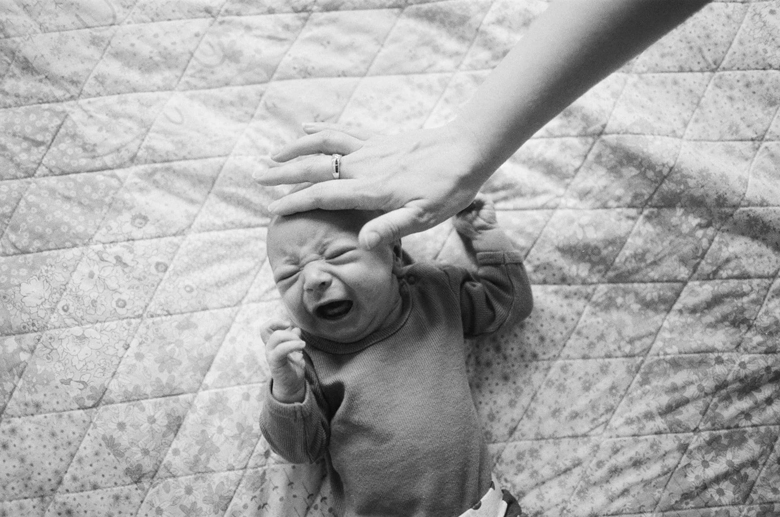 Natural Melbourne Family Photography on Film by Sarah Black_047.jpg