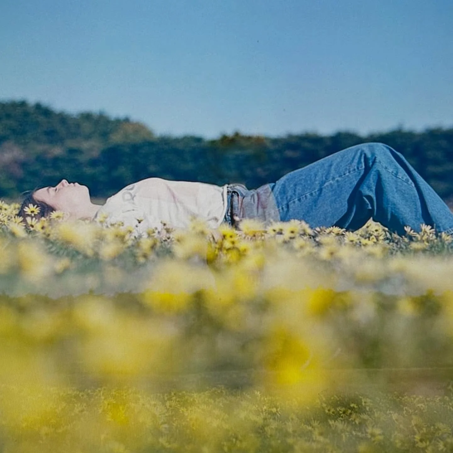 The floral sea. 
.
#filmphotographymelbourne #filmisnotdead 
#melbournefilmphotographer
#melbournefilmphotography
#filmphotographermelbourne
#filmfollowfriday #filmforever #filmforlife
#ishootfilm #filmmama
#shootitwithfilm
#documentyourdays
#thefilm