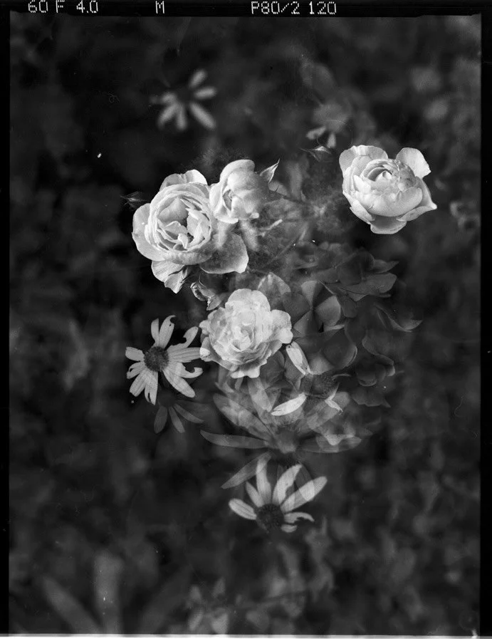 For a little while now I&rsquo;ve been experimenting in developing film in home grown compounds. This dev mix was an extract of plums. Going forward I&rsquo;ll be sharing more of my alternative process journey, and other more esoteric activities, on 