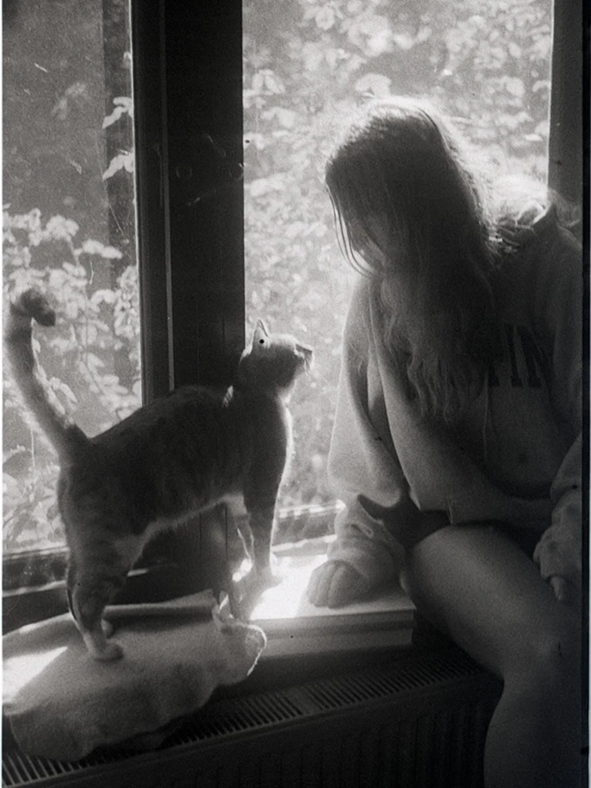 That time E asked if we could have another cat and I said no and so this is Chai who lives with us now (this is M in the photo). Shot on #BessaR2M (I think) with #kentmere200 (I think) developed in an extract of plums at Flinders (I know). I am tryin