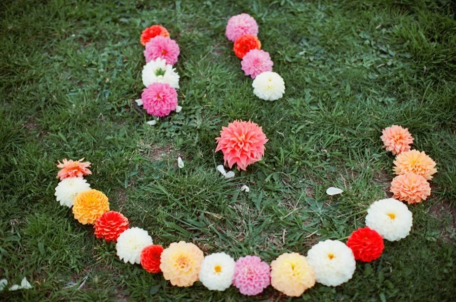 I just really wanted this dahlia smiley face in my feed. Thanks to the gorgeous kids at #flindersfarmgate @flindersfarmgate (proper post coming soon😍).