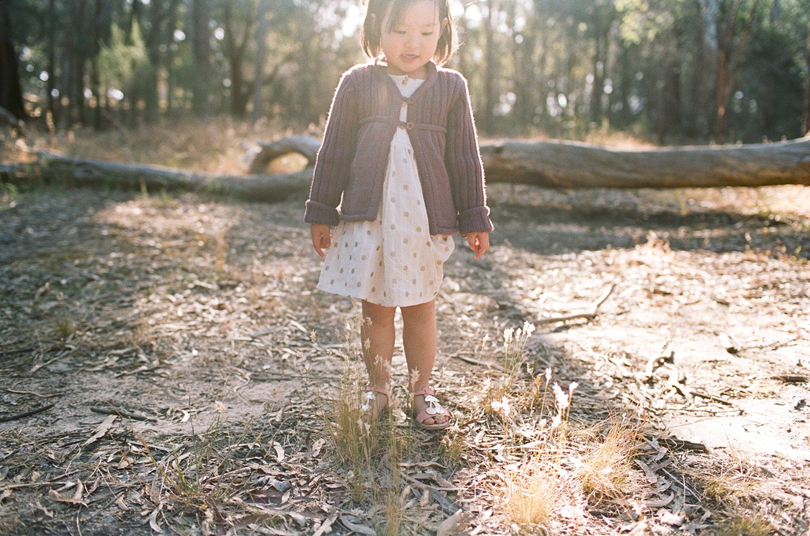 Natural Melbourne Family Photography on Film by Sarah Black_077.jpg