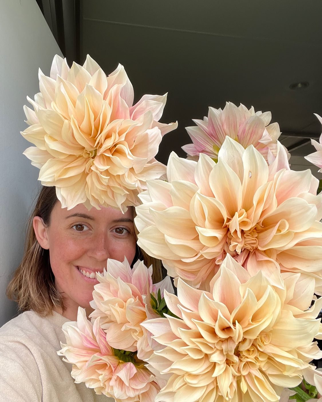 These Cafe latte dahlias caught my eyes 

With its beautiful soft creamy tones ranging from blush pink to creamy coffee colour

Imagine these in a show stopping arbour&hellip;..

This could be you dm for more details 🫶