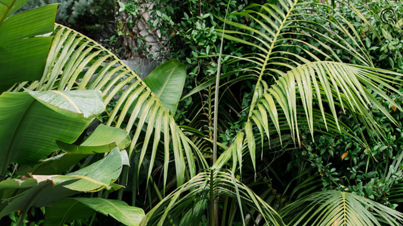 Why We're Expanding Beyond 'Sustainability' (And What It Means for Purpose-Driven Brands)