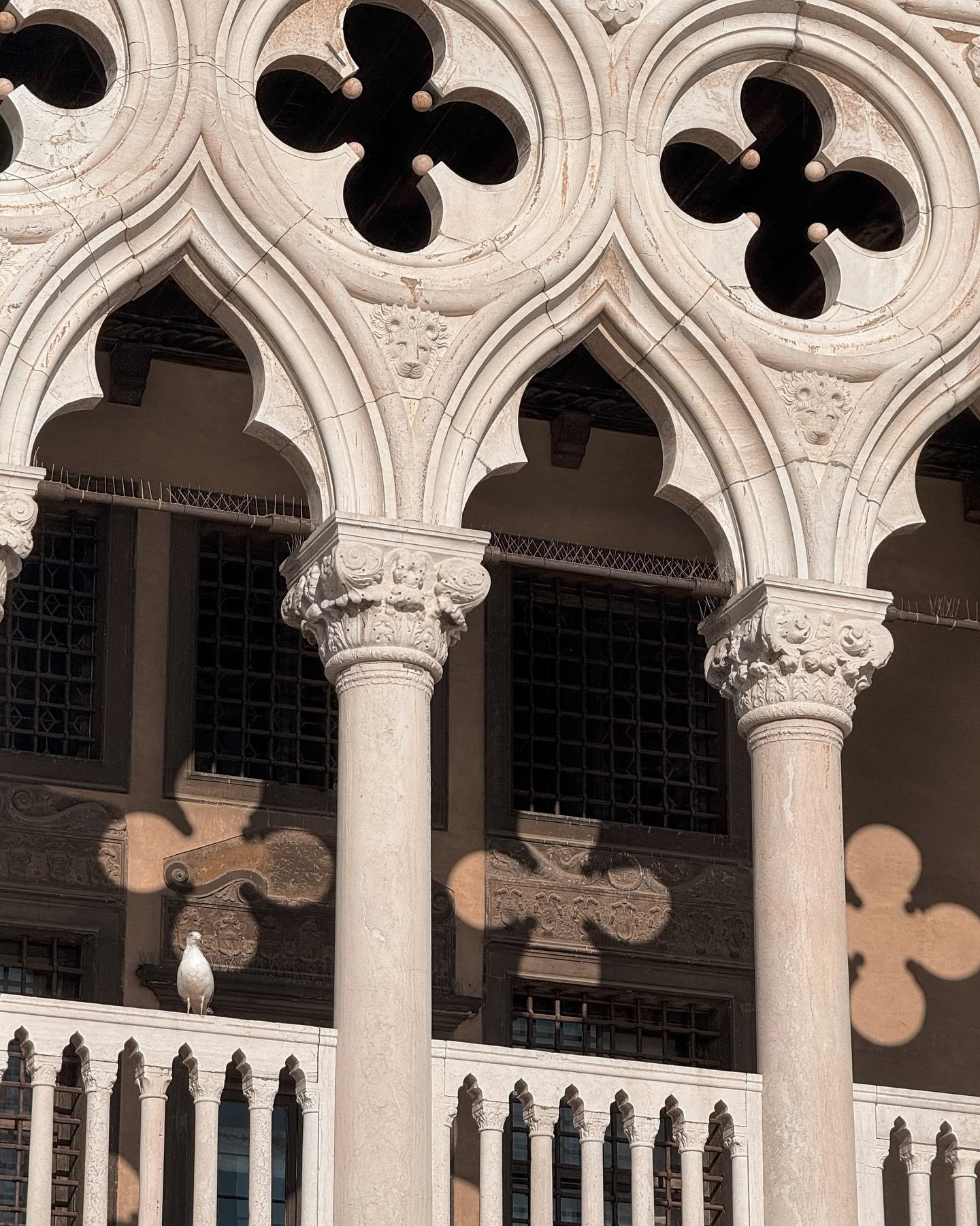 Incanto nel primo giorno di Dicembre ✨

#venezia #venice #dicembre #coltivarebellezza #incantoavenezia