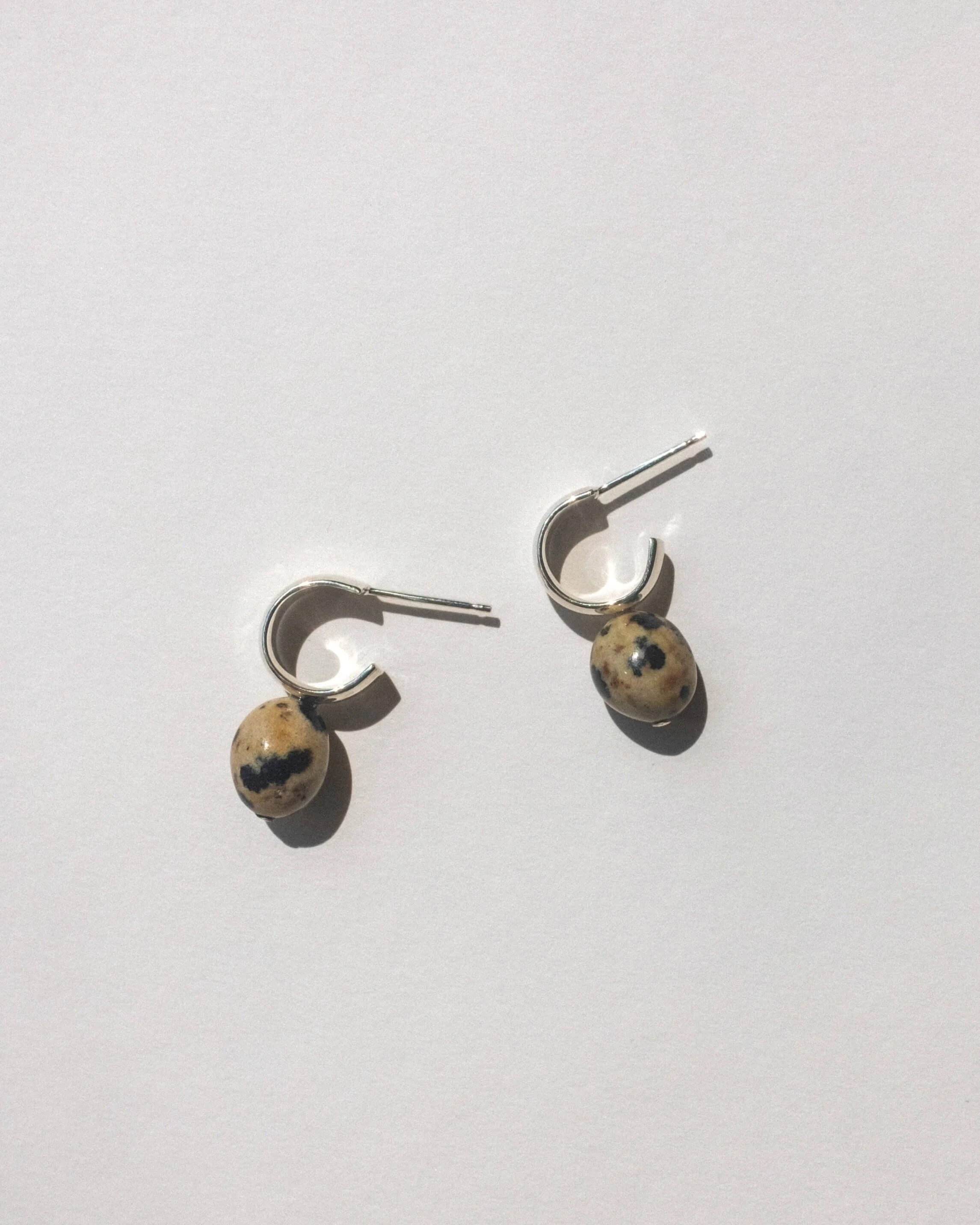 tanka delmatian (1).jpg